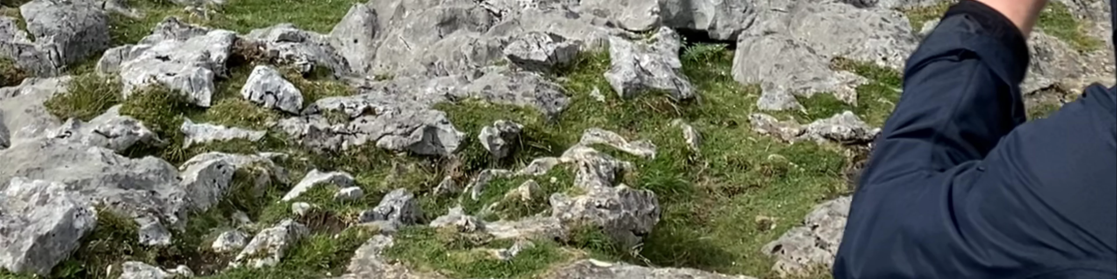 Picos de Europa National Park