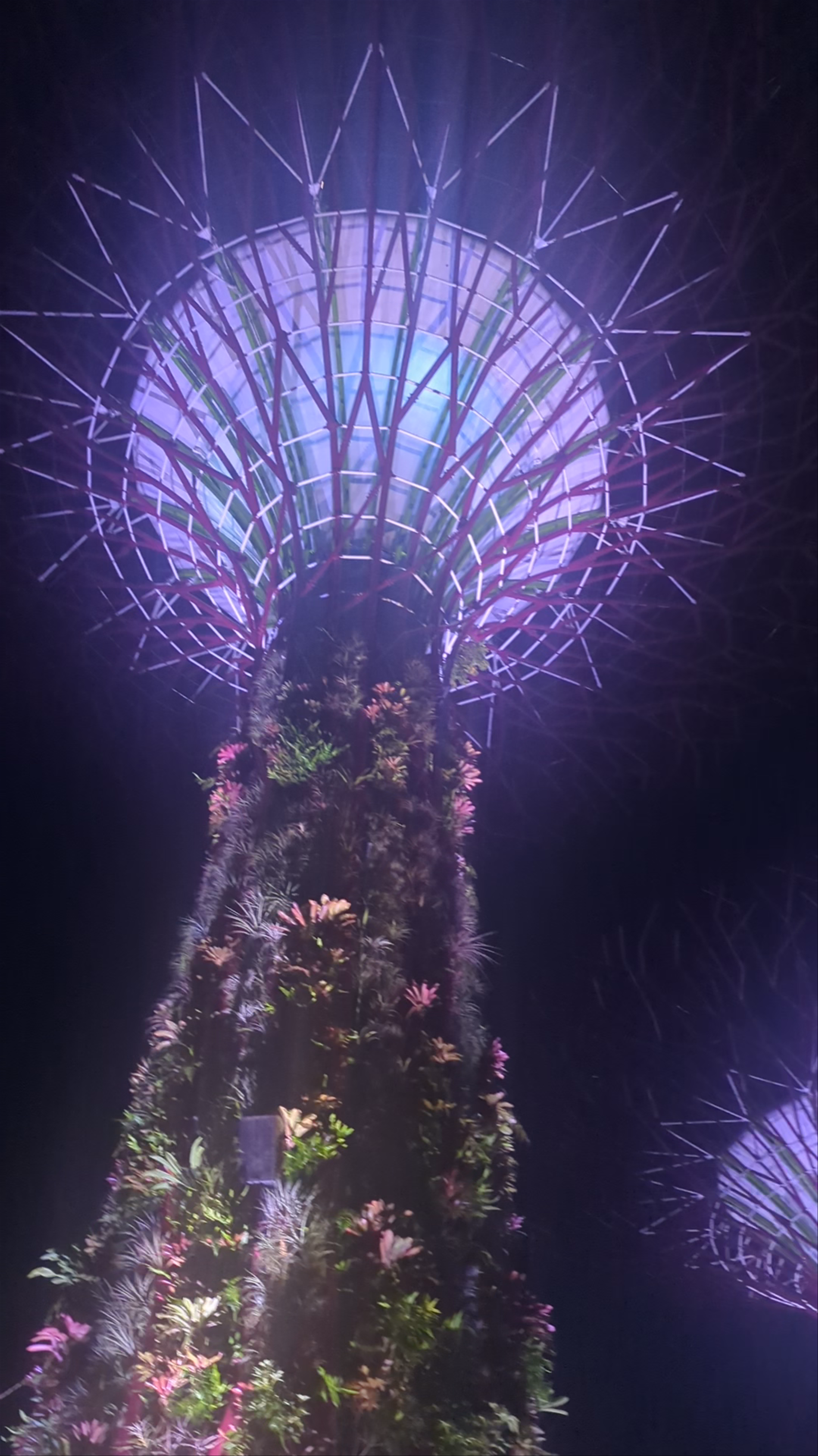 Marina Gardens Drive