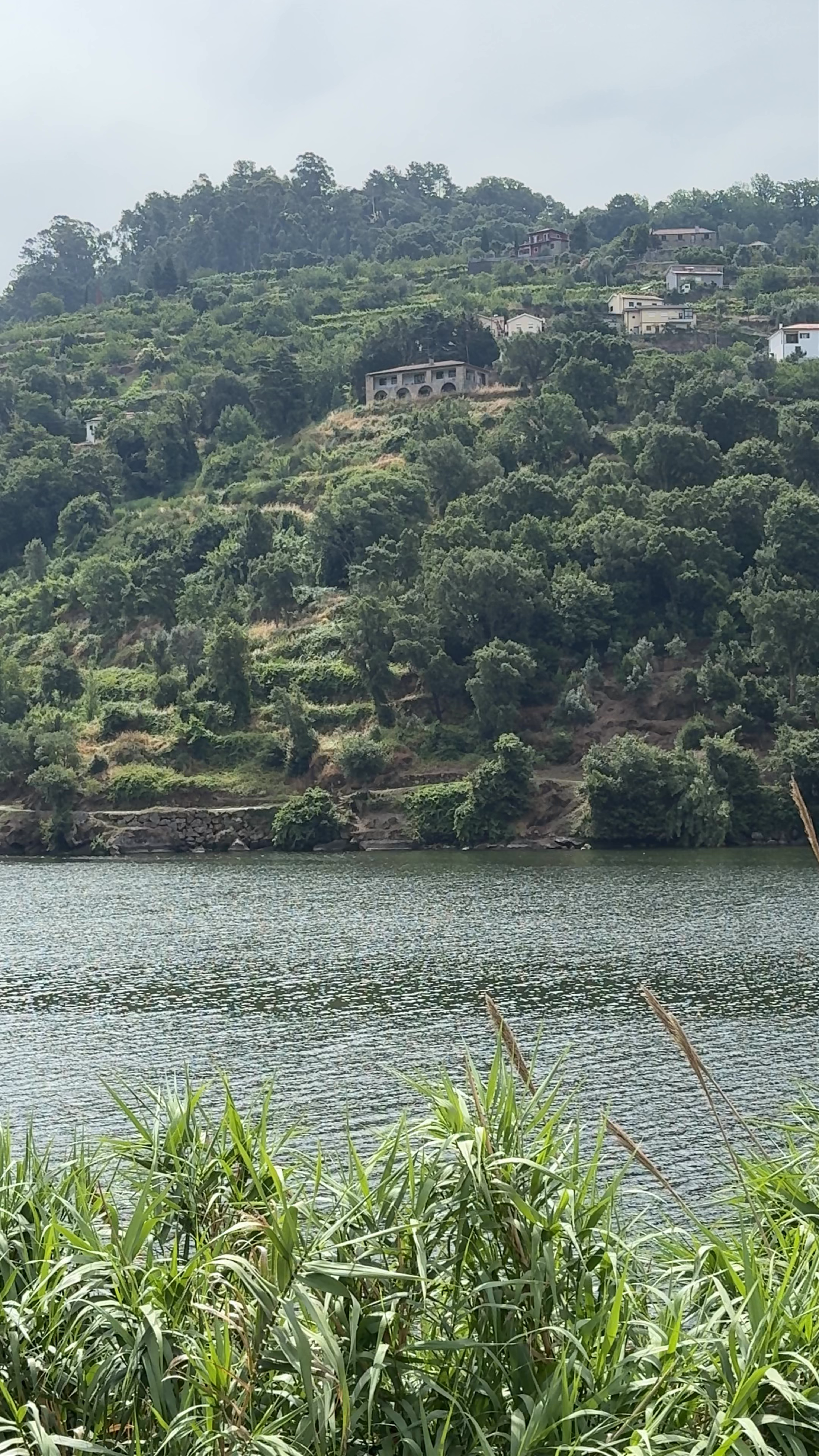 Train from Pinhao to Port 