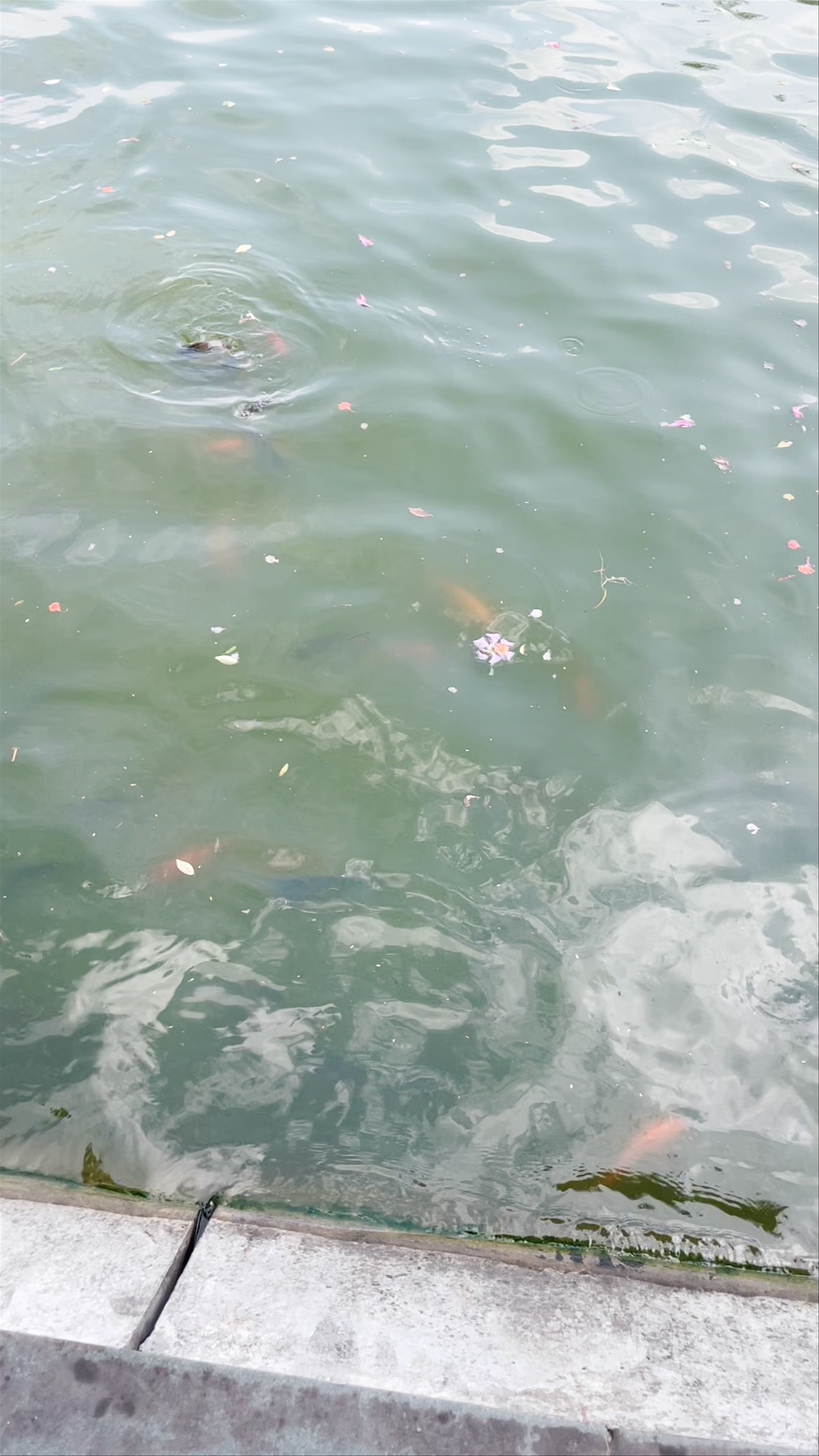 Hoàn Kiếm Lake