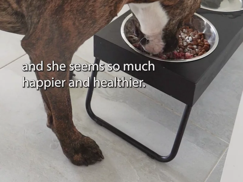 Petmima ad - July 23