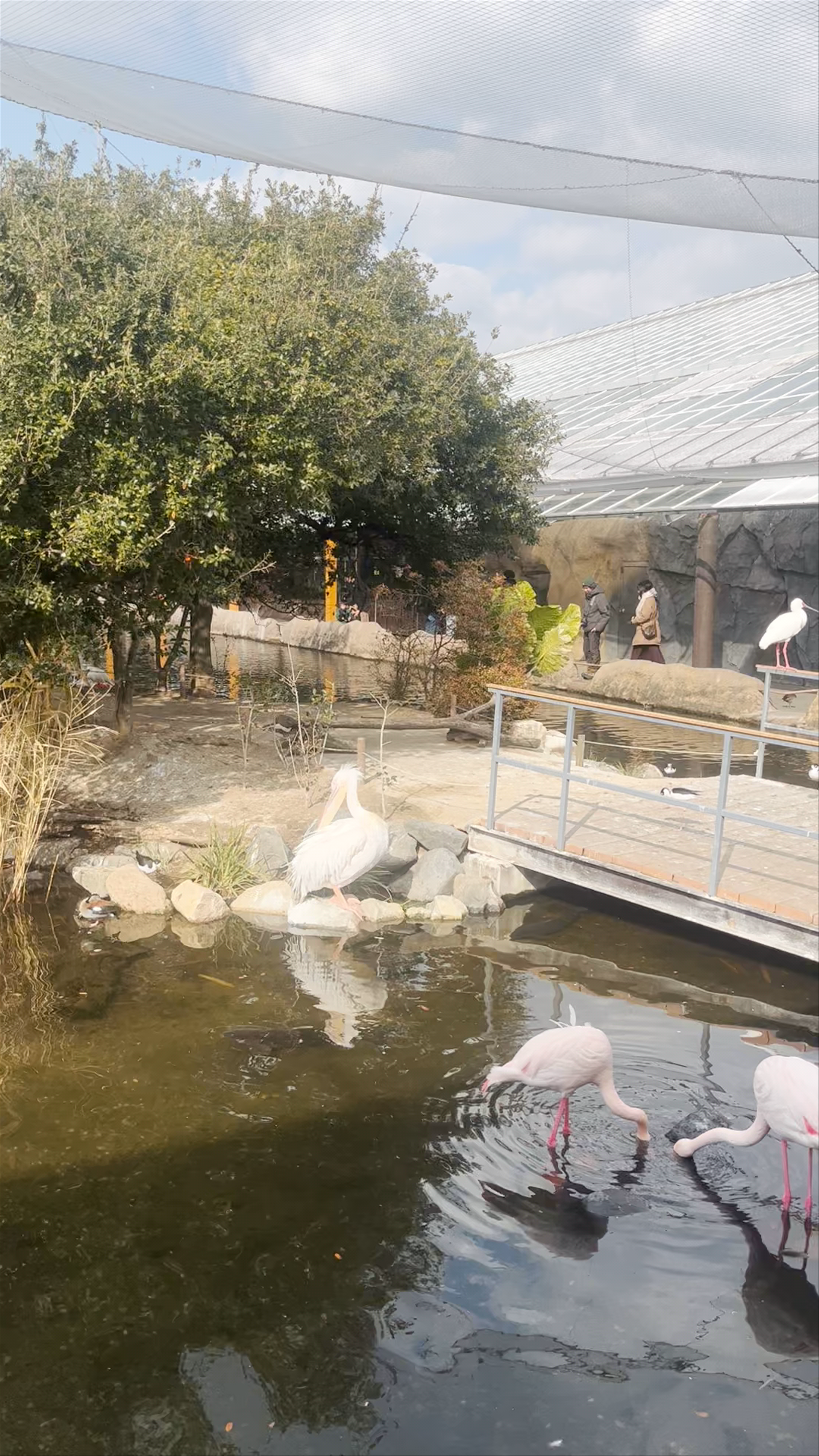 Kobe Animal Kingdom