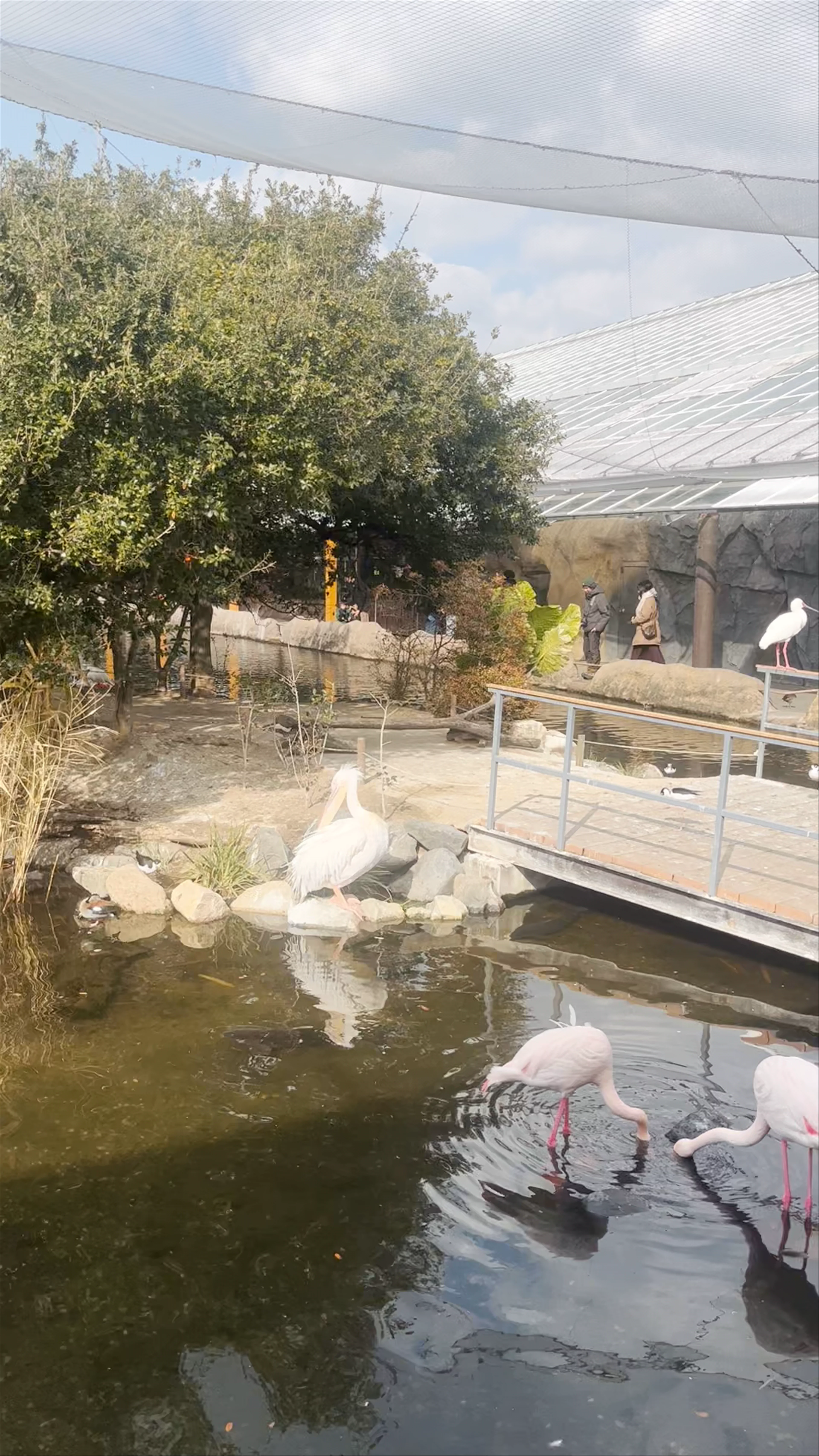 Kobe Animal Kingdom