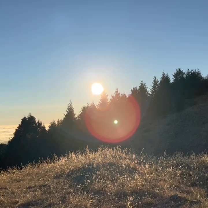 Matt Davis Trail - Parks Near Me - Stinson Beach, California