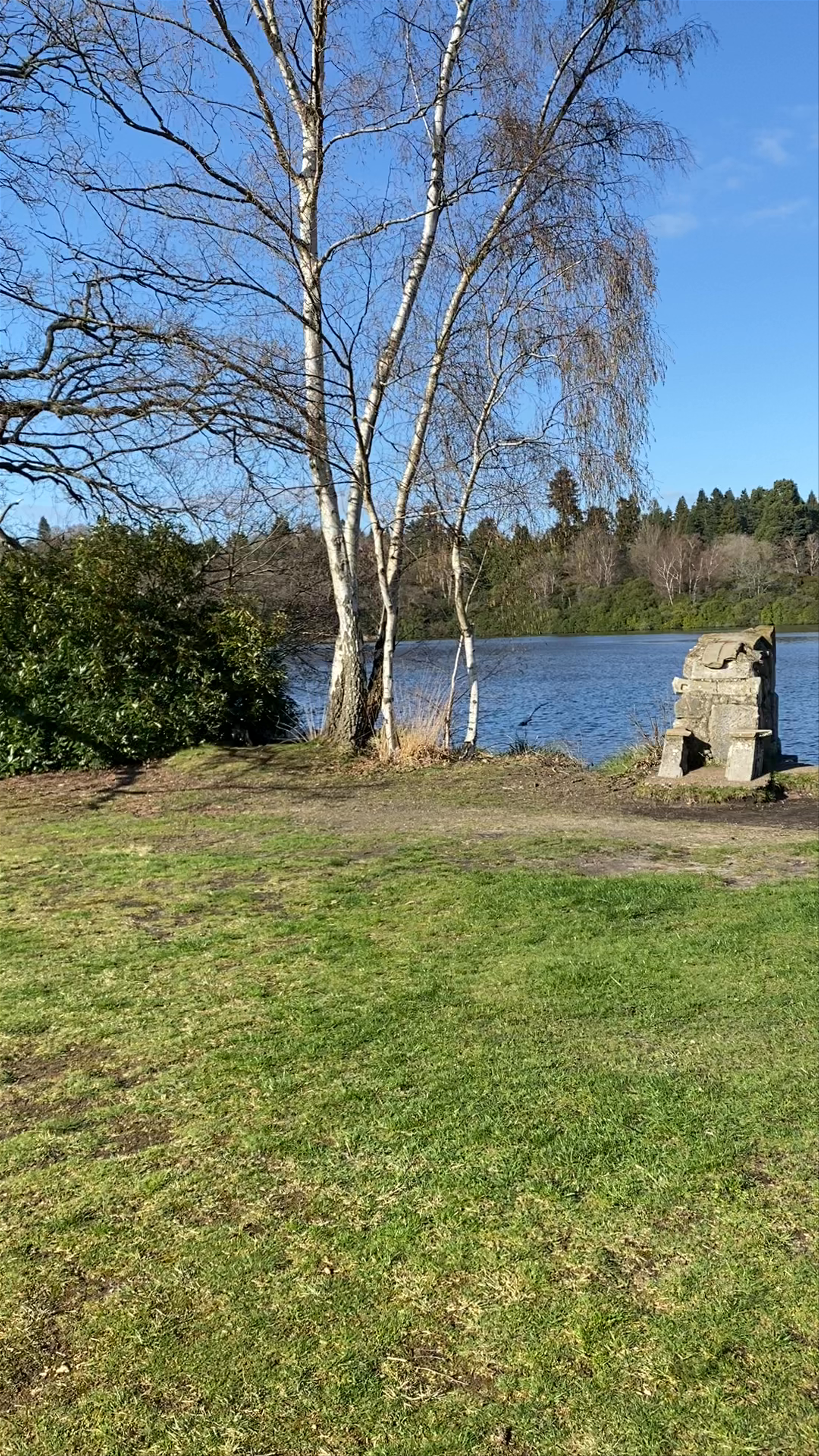 Springtime Serenity at Virginia Water Lake, UK