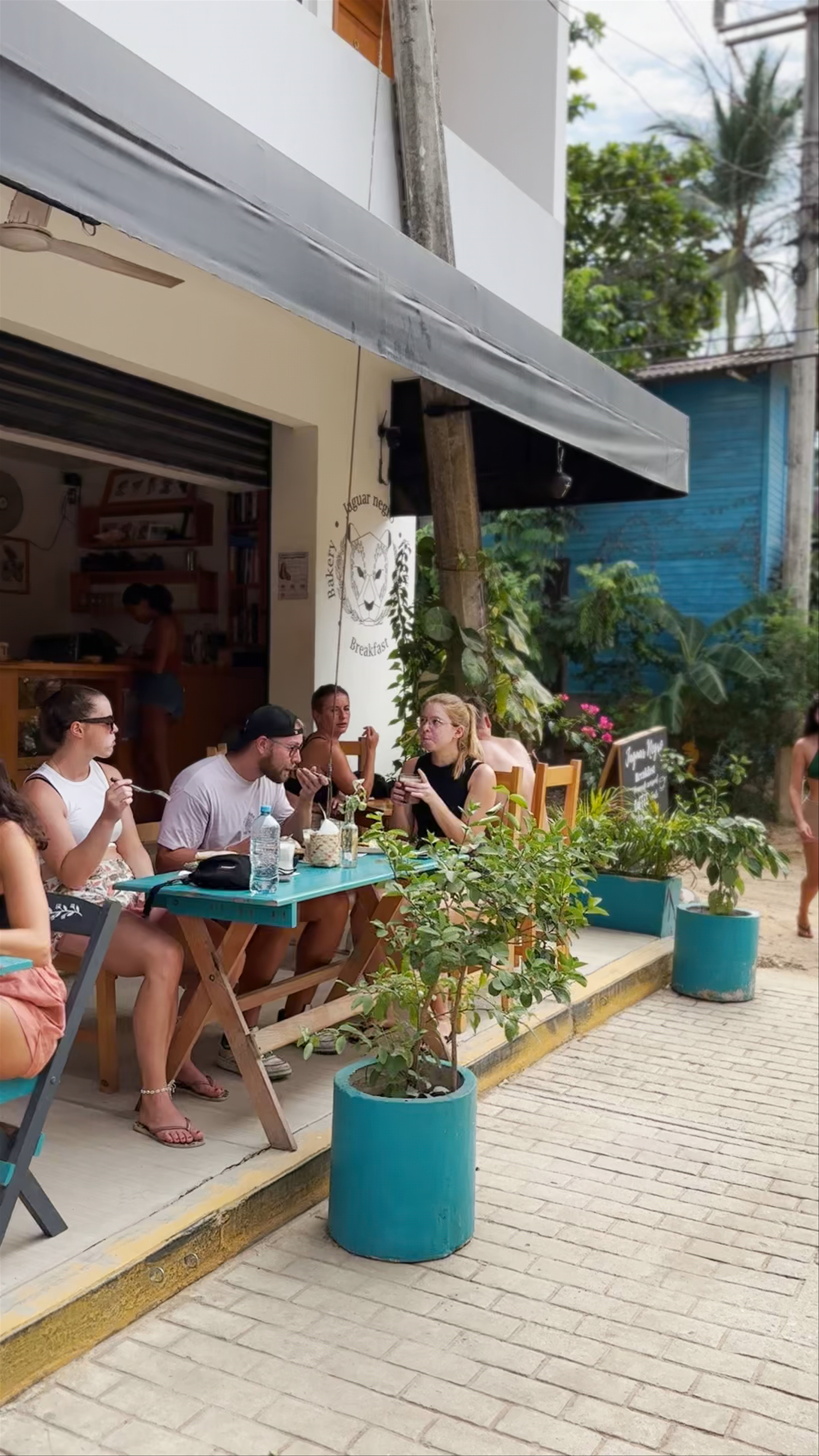 Jaguar Negro Zicatela