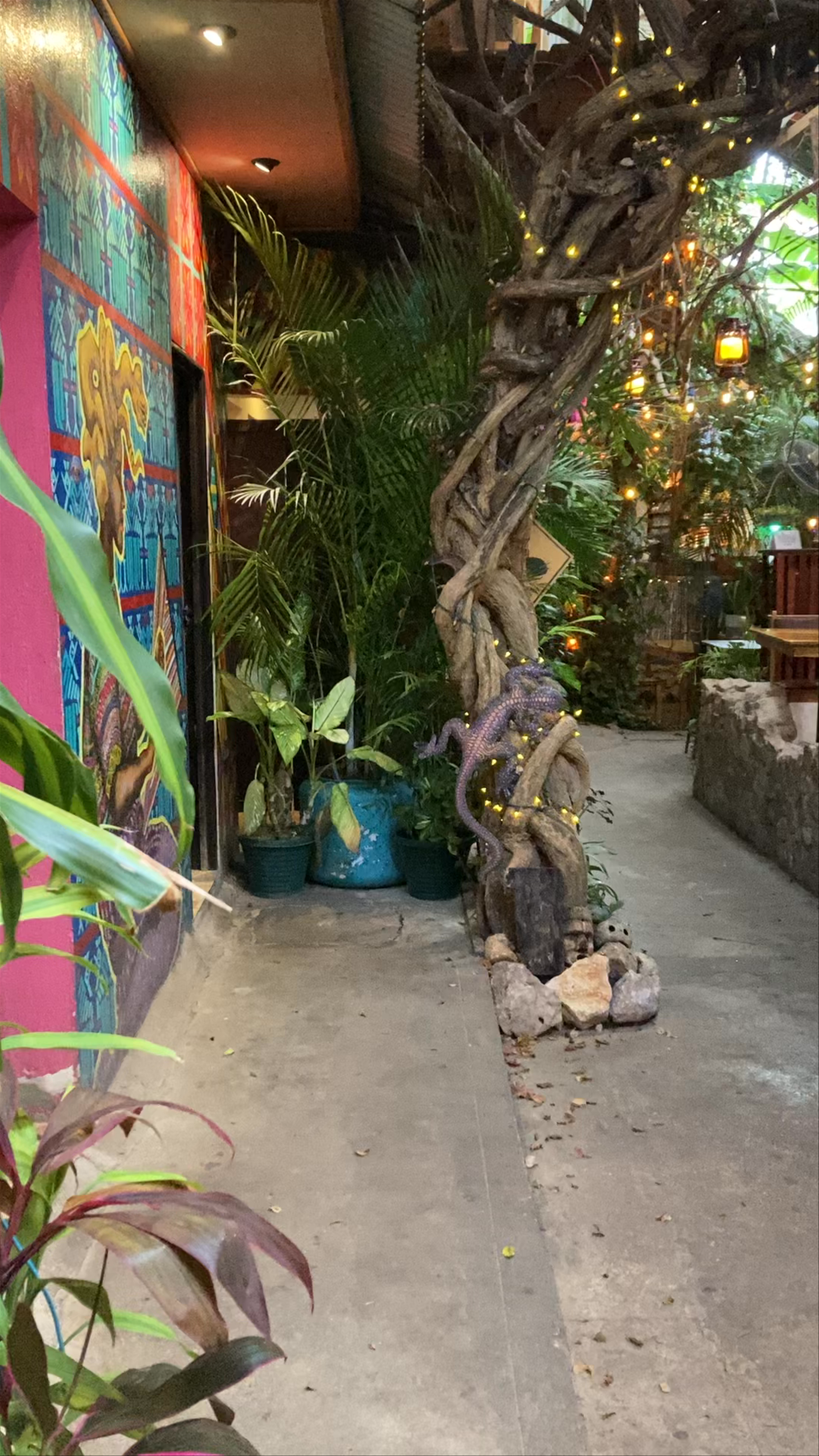 Los Amigos Hostel