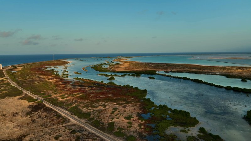 Caribbean - Bonaire poster