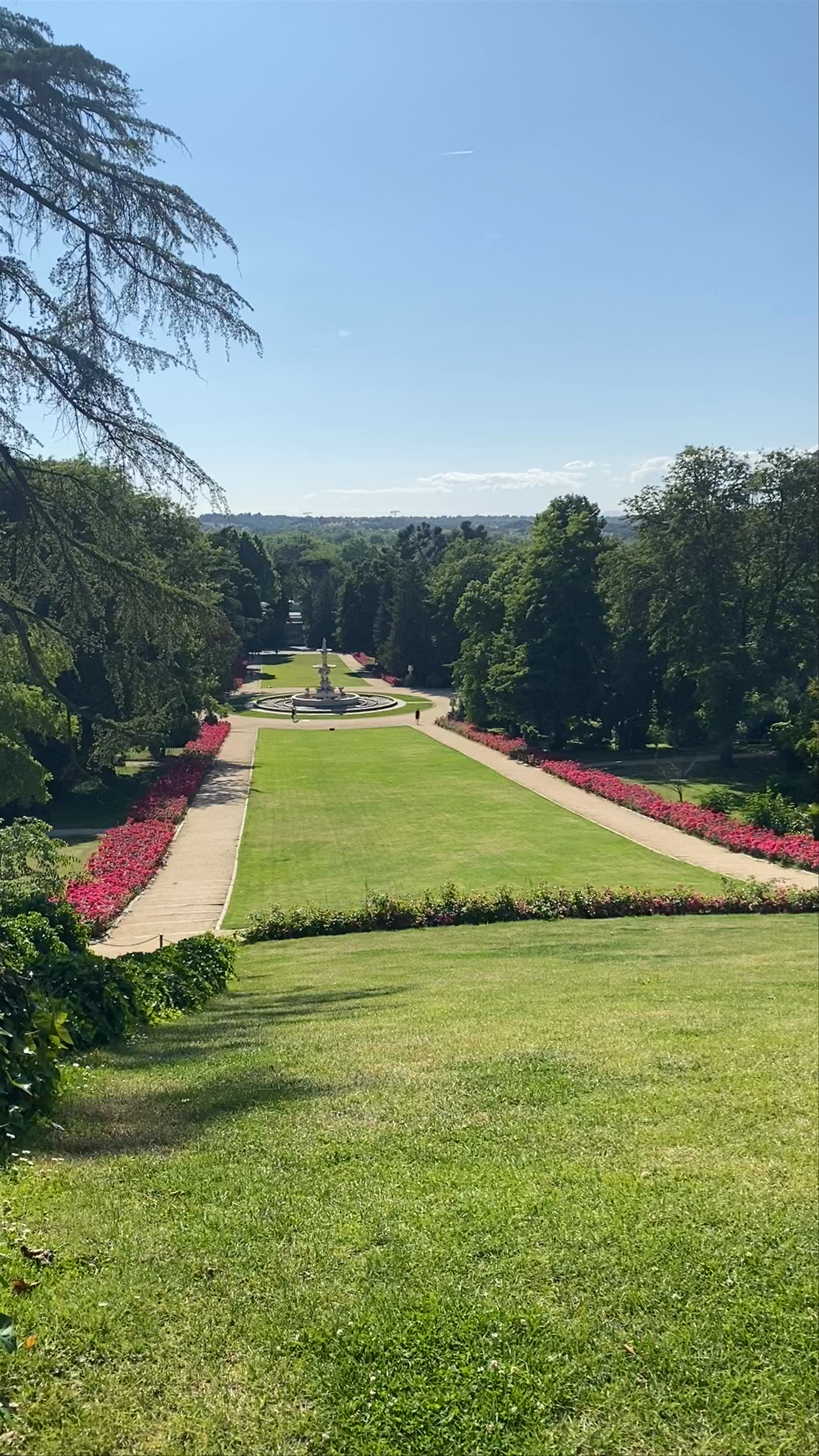 Campo del Moro