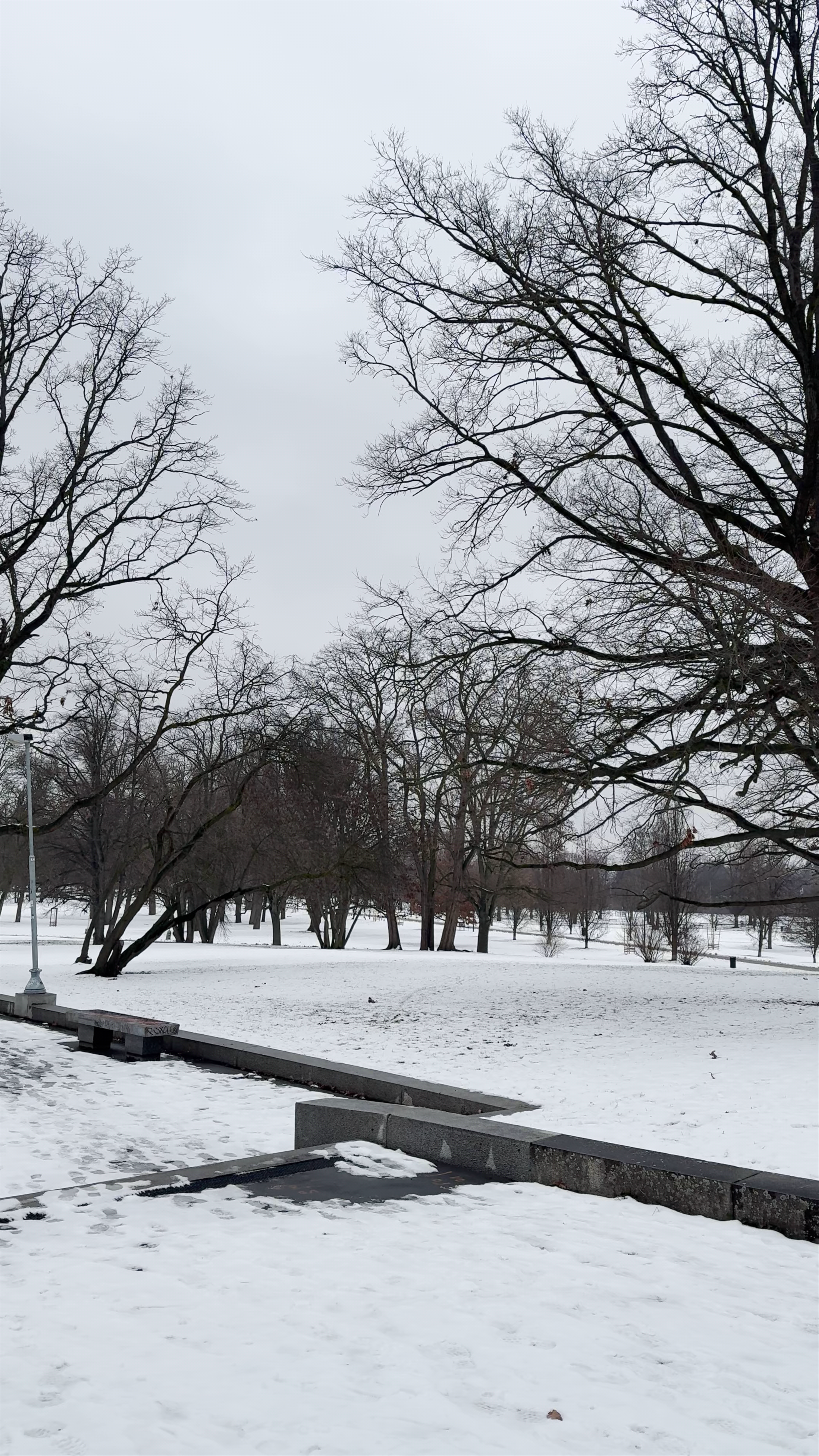 Winter Serenity at Letna Park, Prague