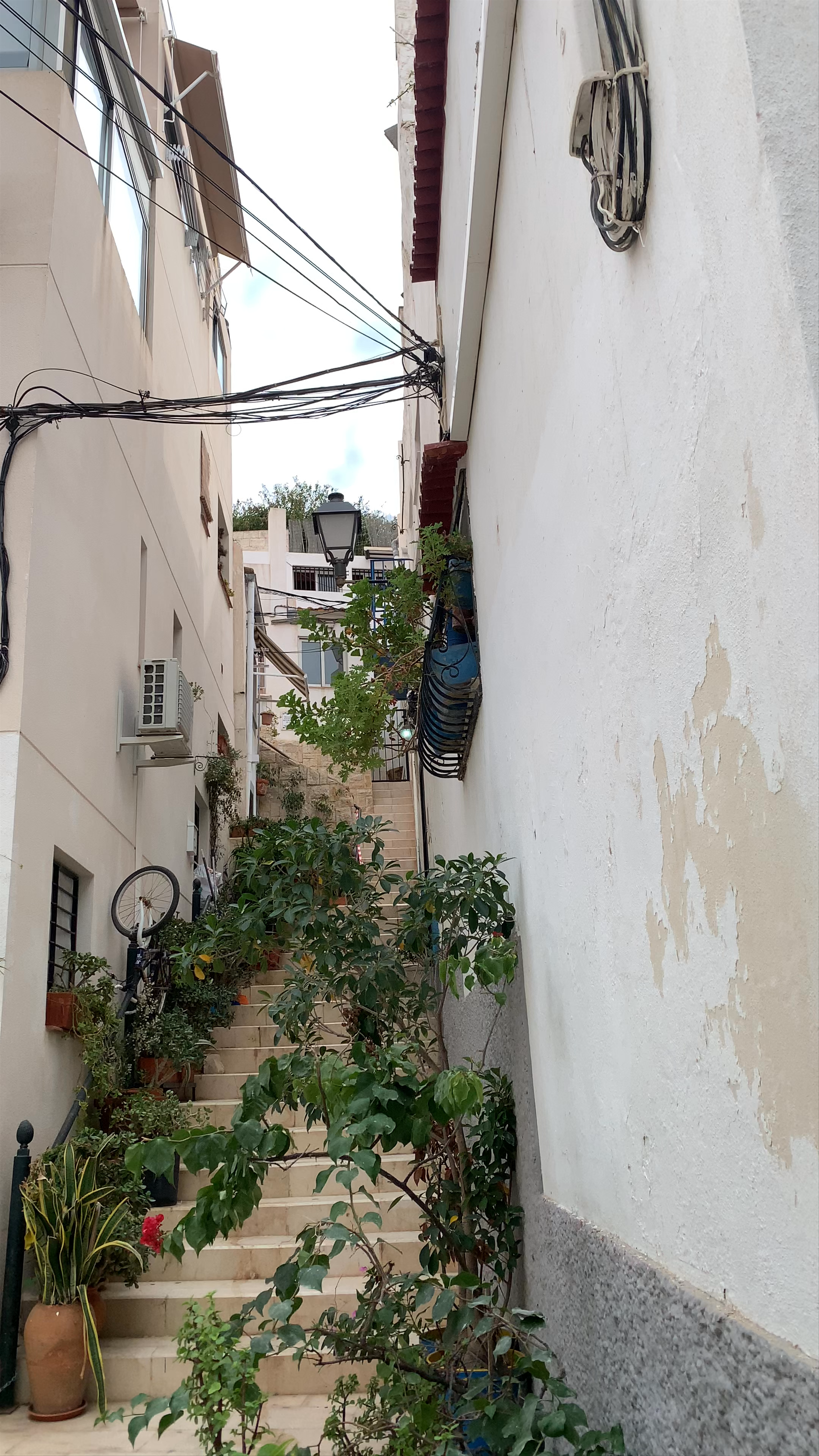 Barrio de Santa Cruz