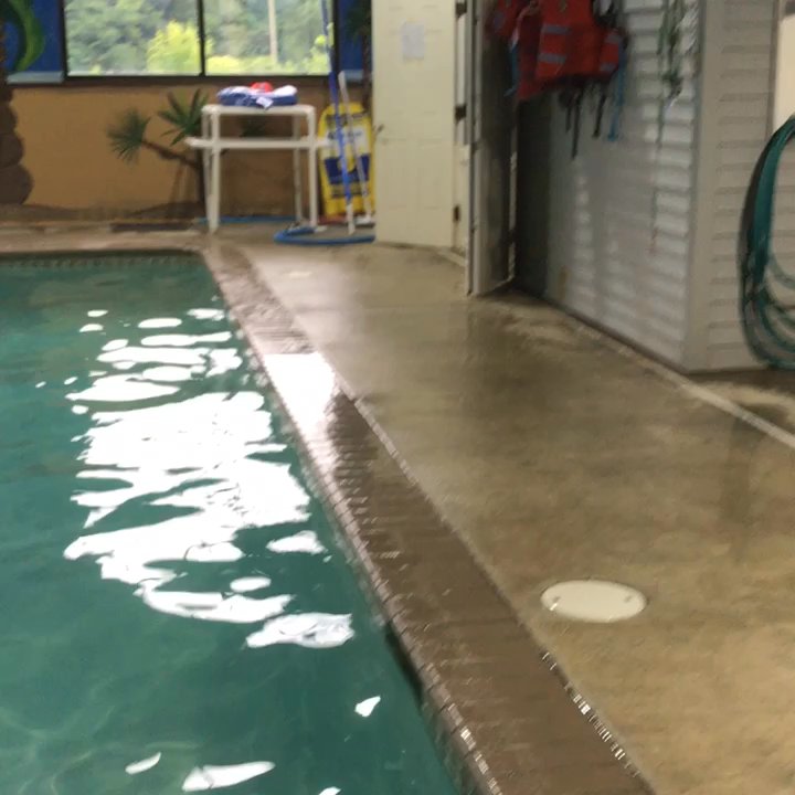 Greenleaf Pet Resort - And then there's Swim time! #soHappy - Pet Sitting Near Me - Millstone, New Jersey