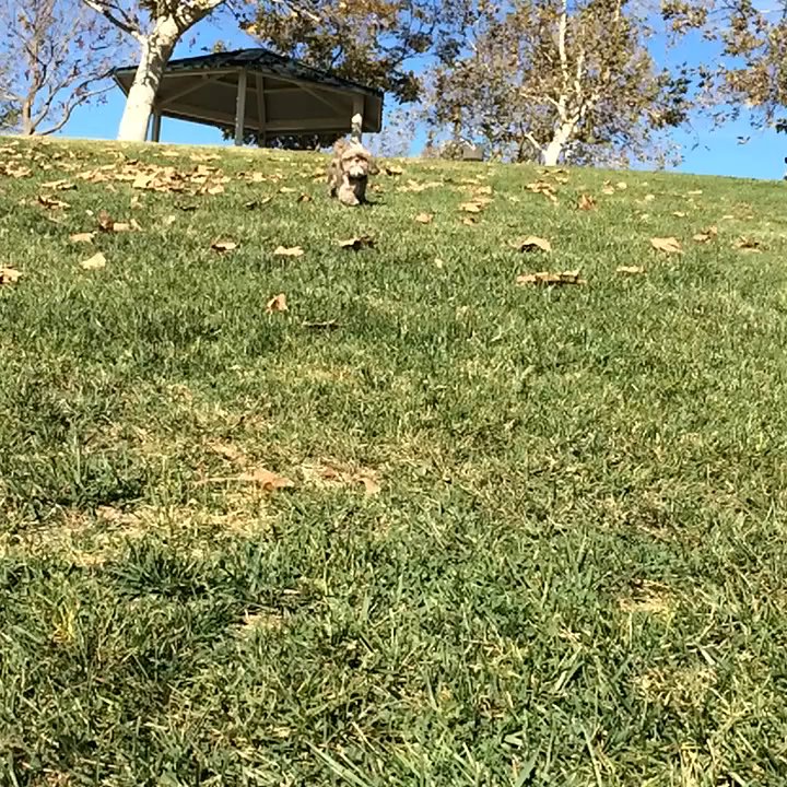 Pauba Ridge Park - Parks Near Me - Temecula, California