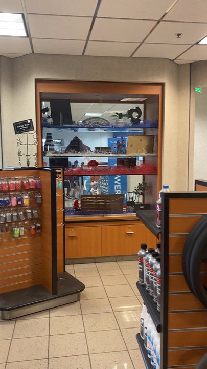 Honda North - Auto Repair Near Me - Clovis, California