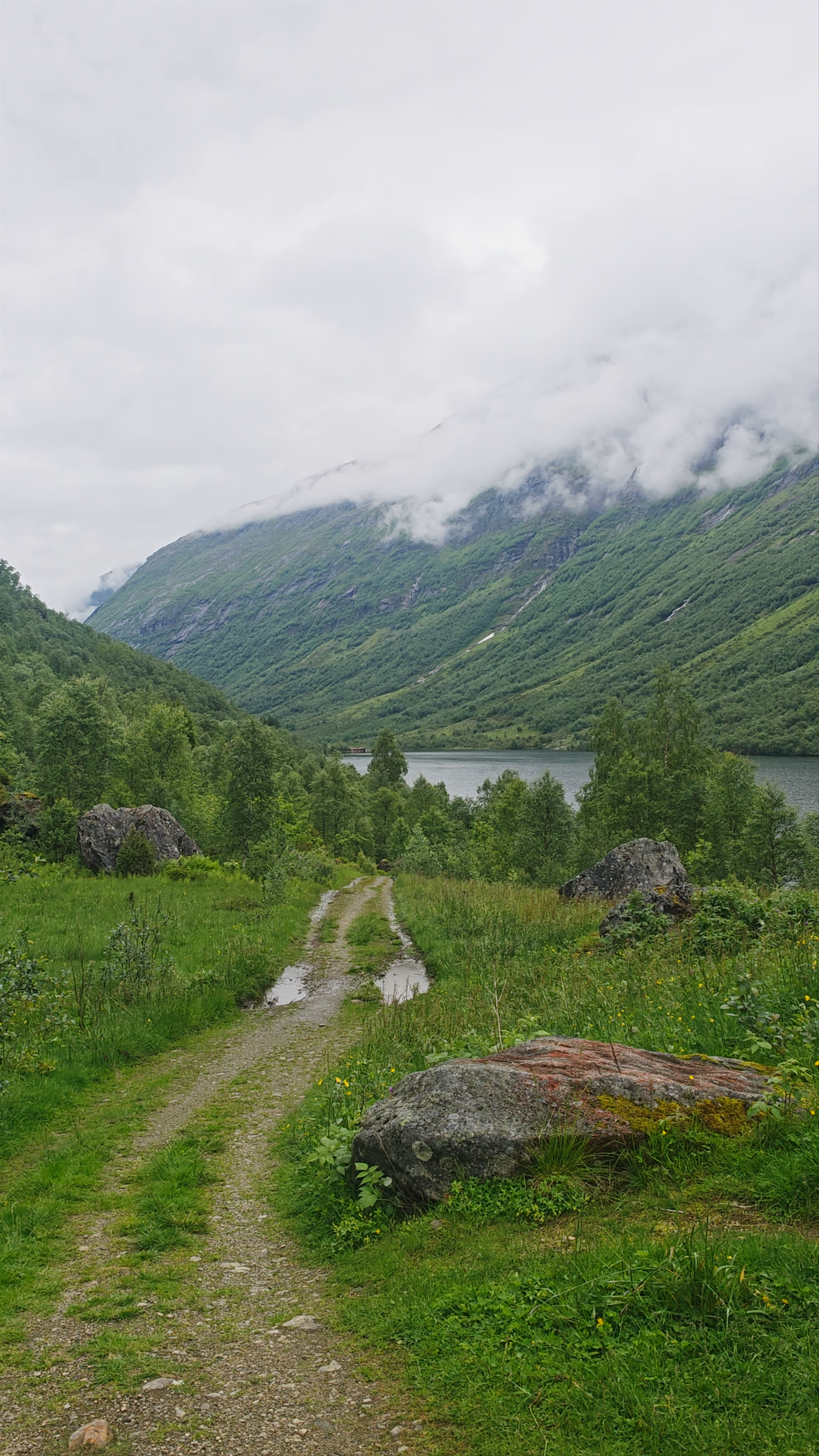 Serene Mountain Walk in Øvre-Flosætra, Flo, Norway