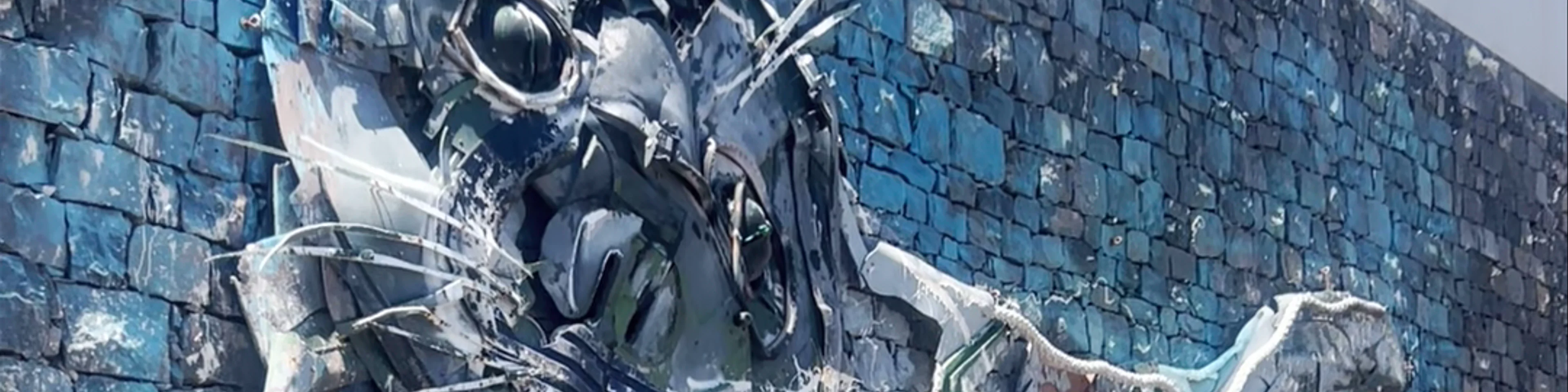 Sealion wall sculpture (by Bordalo II