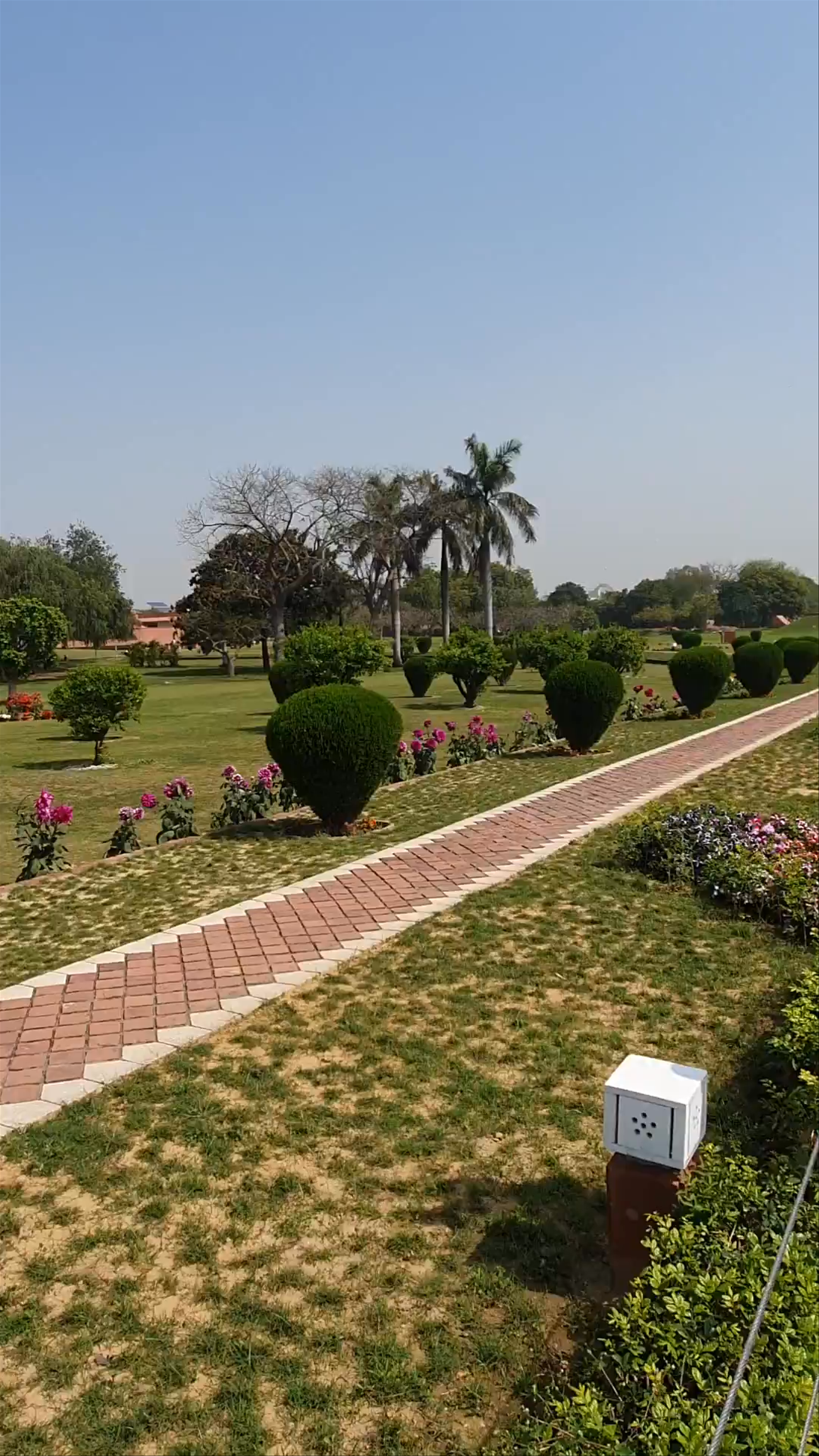Lotus Temple Garden Walk in New Delhi: Serenity Meets Architecture