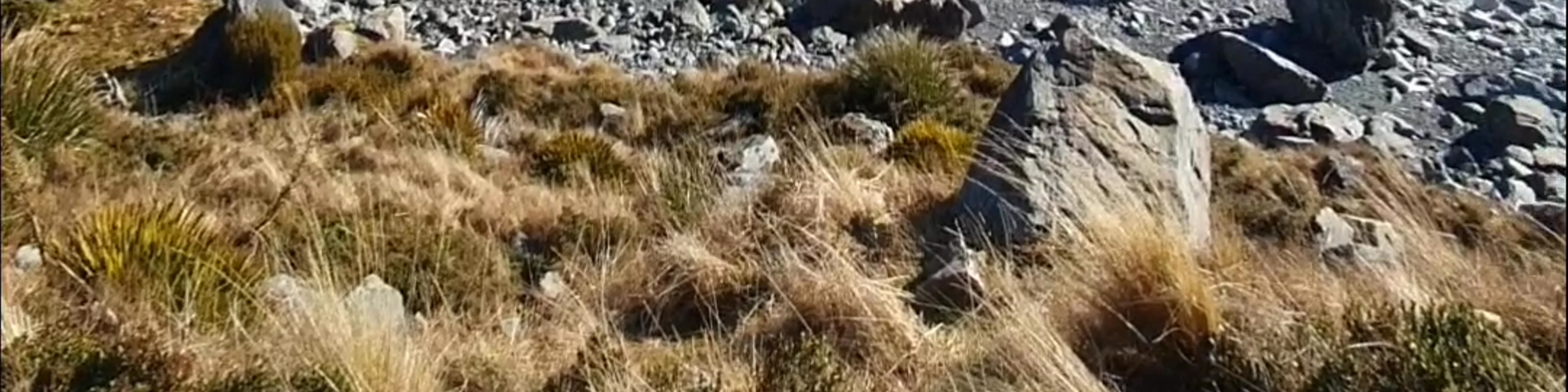 Hooker Valley track Hooker Valley Track
