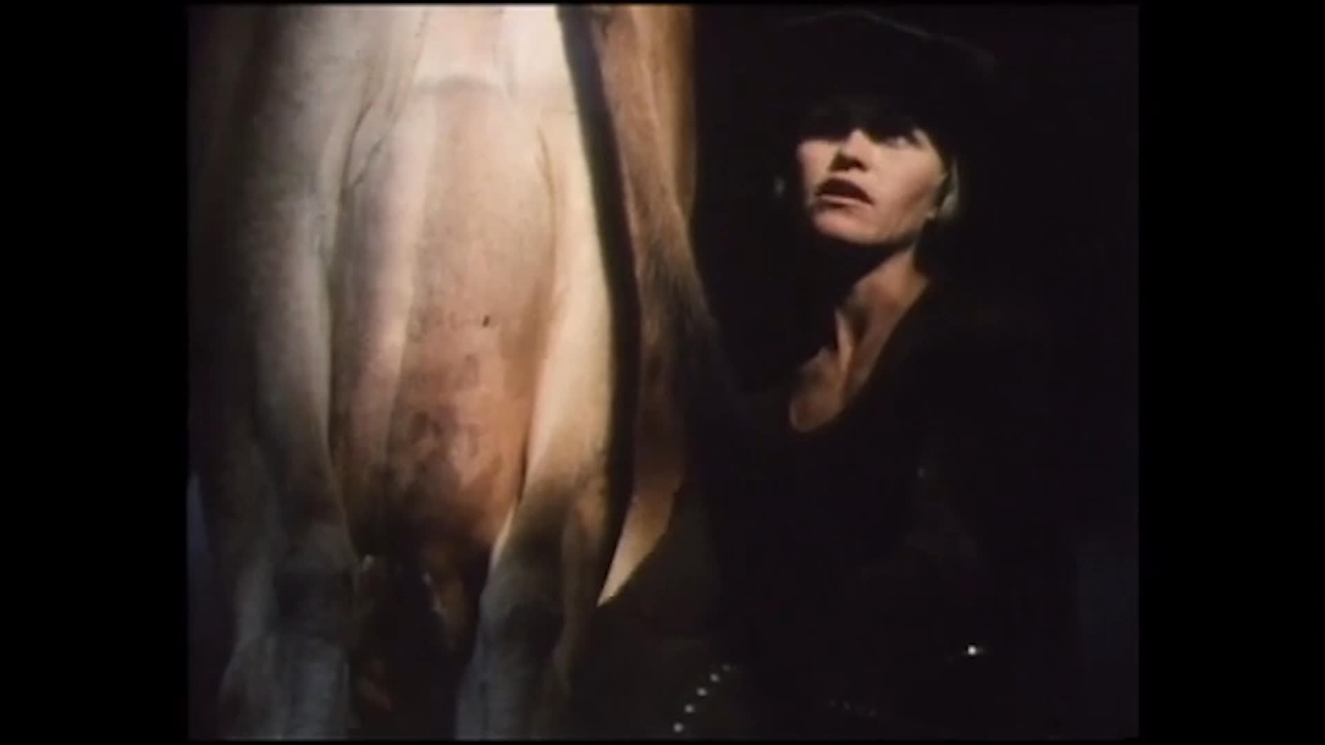 Two ranch workers stand with a dog in a fenced pasture, followed by a close view of a person beside a cow's udder. Wedding portraits close the sequence as the narration recalls Richard's ranch work and his current carpentry trade.