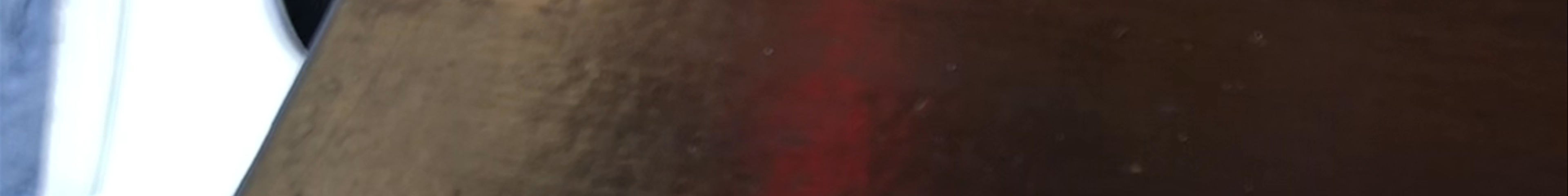 Tours & experiences in Sevilla