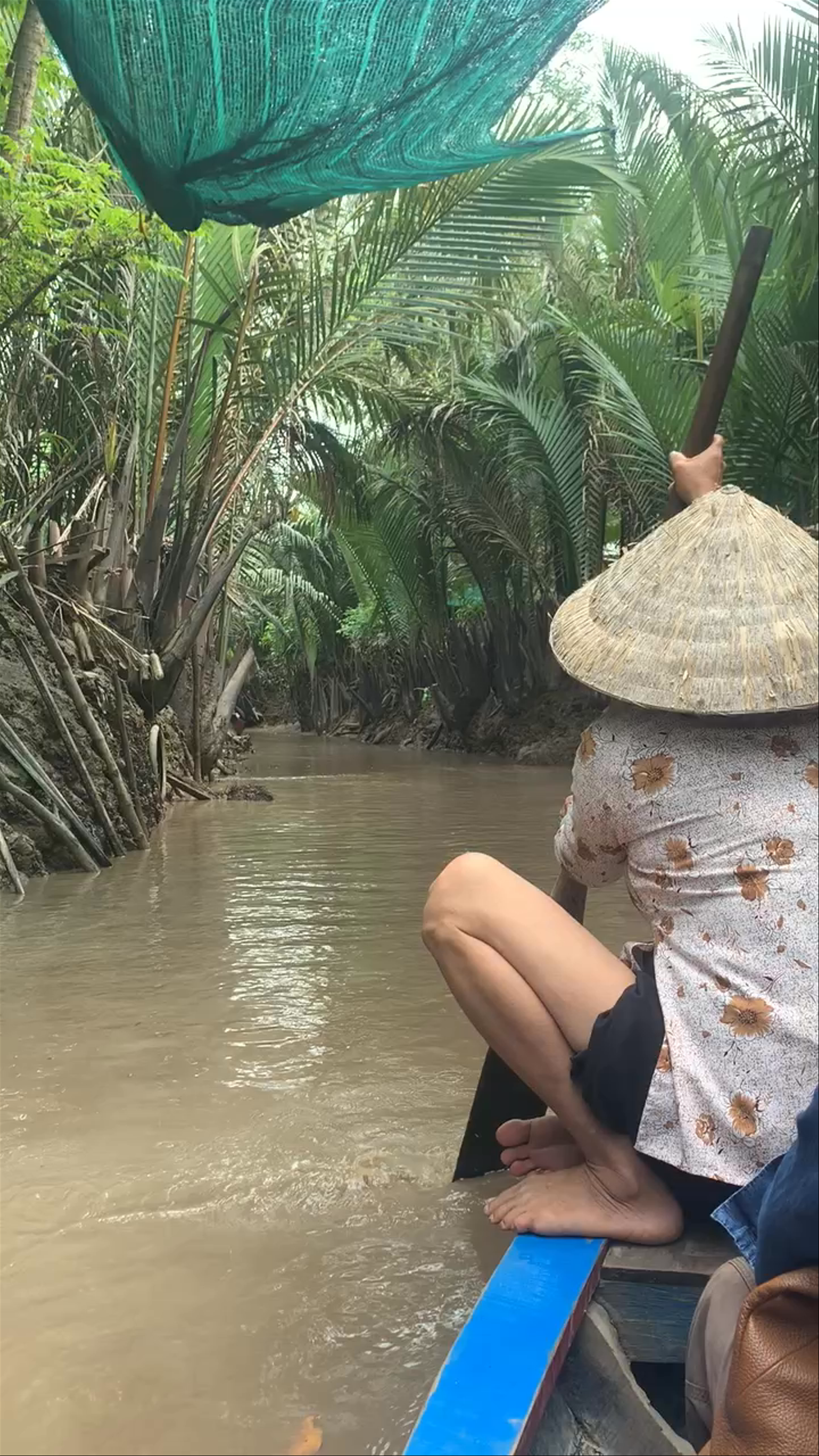Mekong Delta Boat Ride: Exploring Vietnam's Lush Waterways