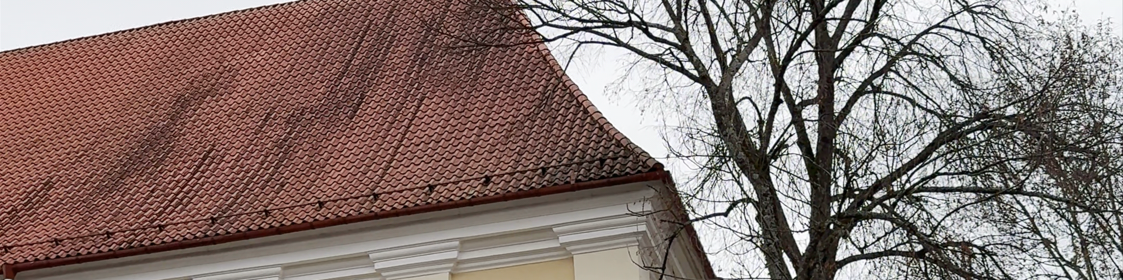 Vilniaus