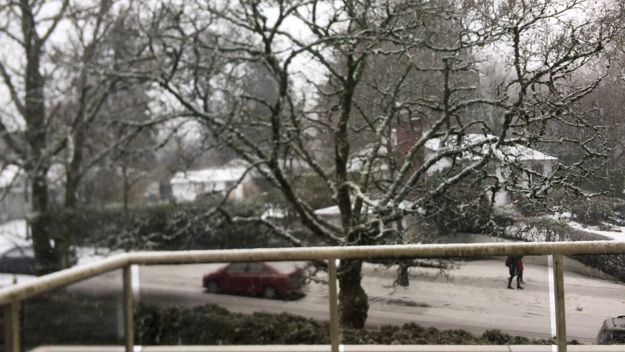 Vancouver City - Snowing in February 2019 - Local Flavor Near Me