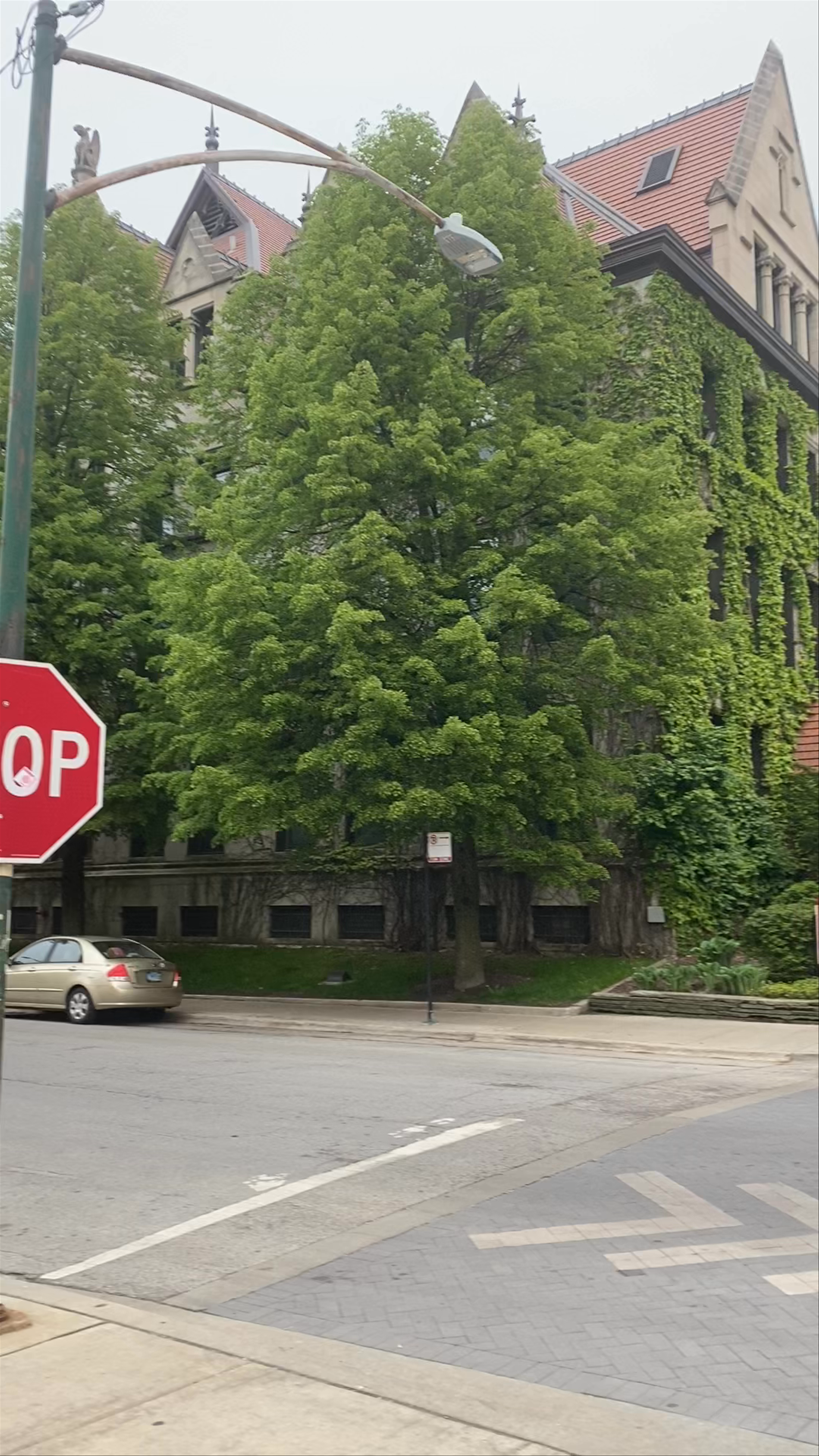 University of Chicago