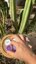 Small image 7