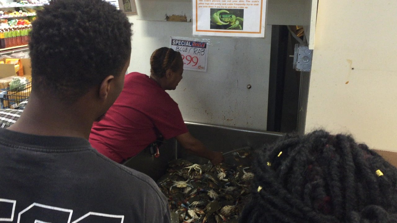 Super G Mart Charlotte - Live crabs - International Grocery Near Me - Charlotte, North Carolina