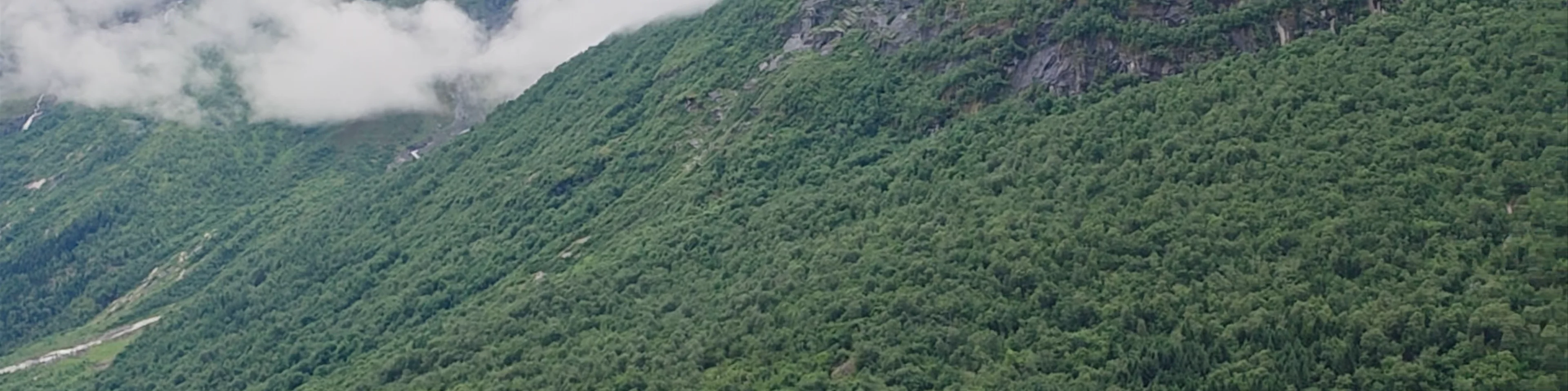Lake Lovatnet