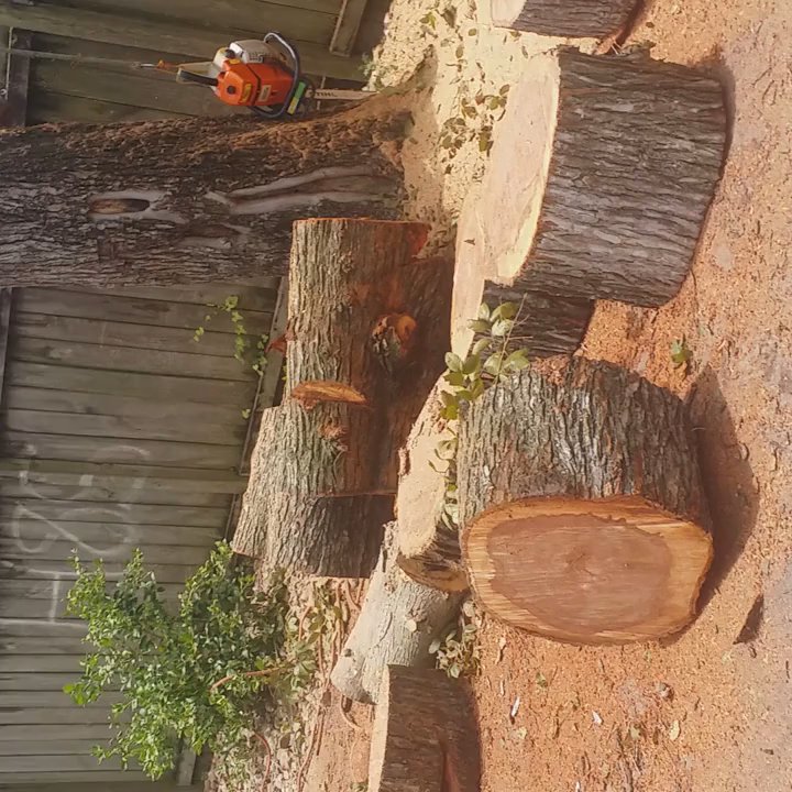 Jasso Tree Trimming - Landscaping Near Me - Pasadena, Texas