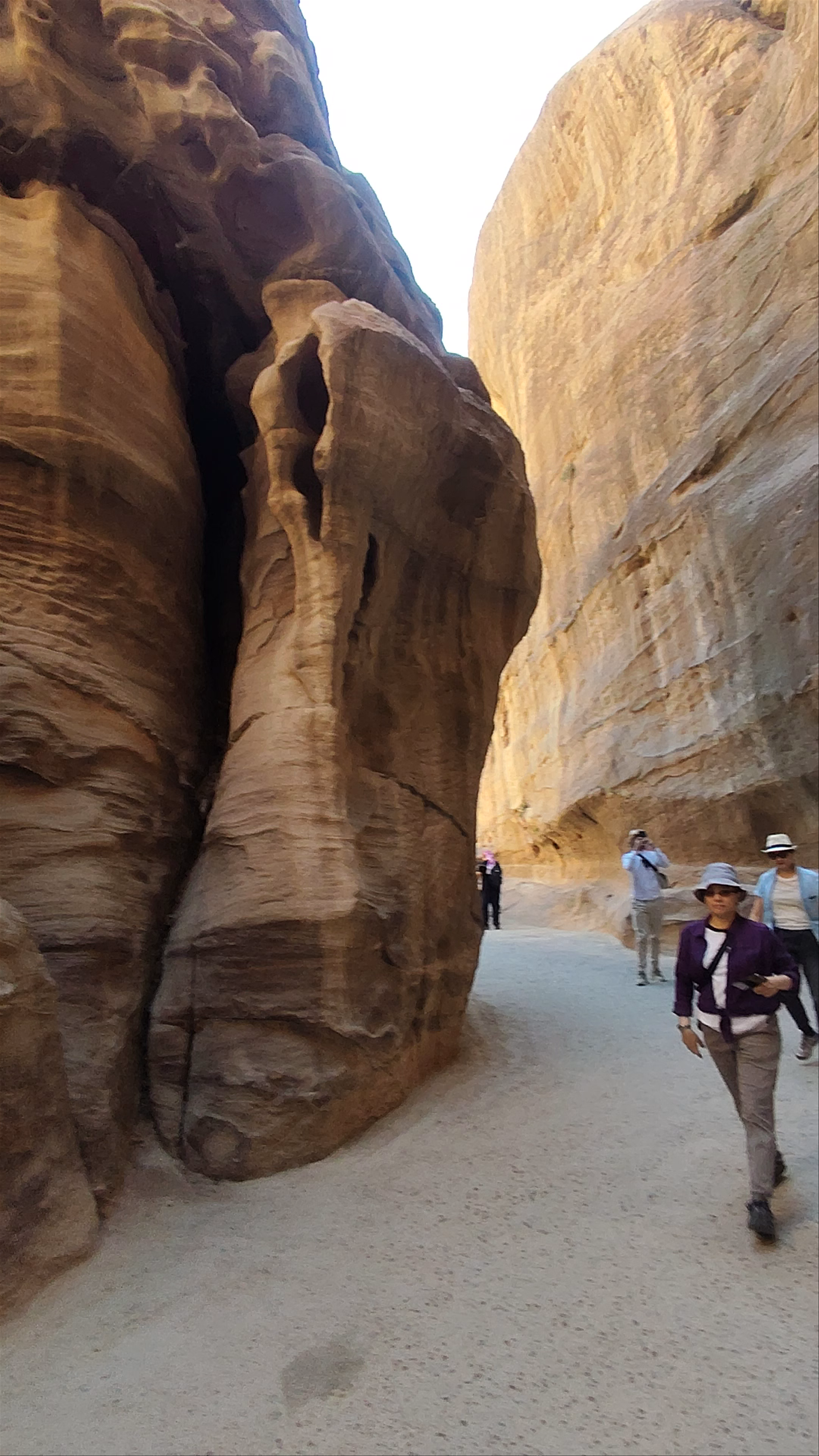 Exploring Al-Siq: The Majestic Canyon Pathway in Petra, Jordan
