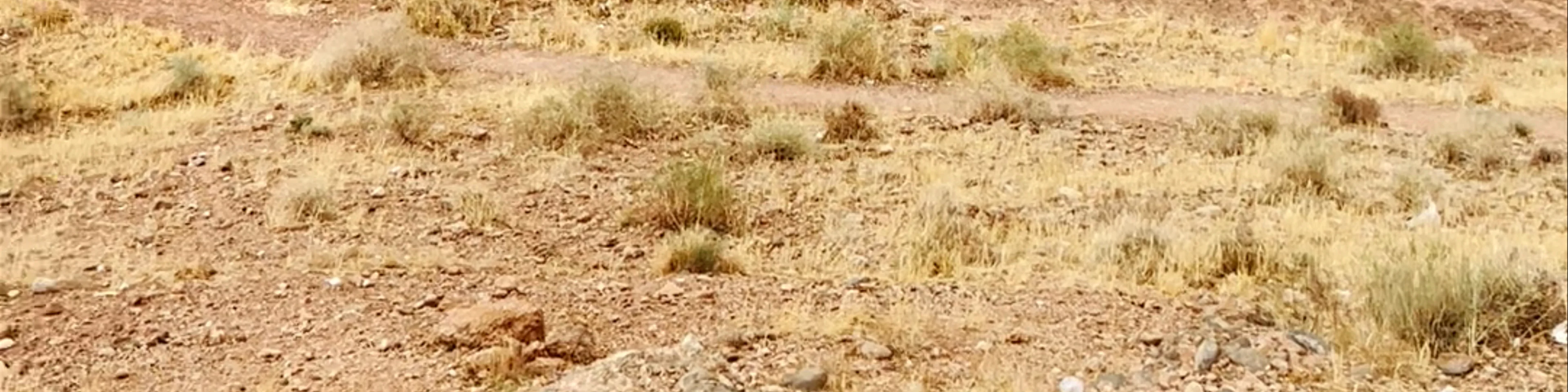 Monkey fingers view، أيت سدرات الجبل السفلى، Morocco