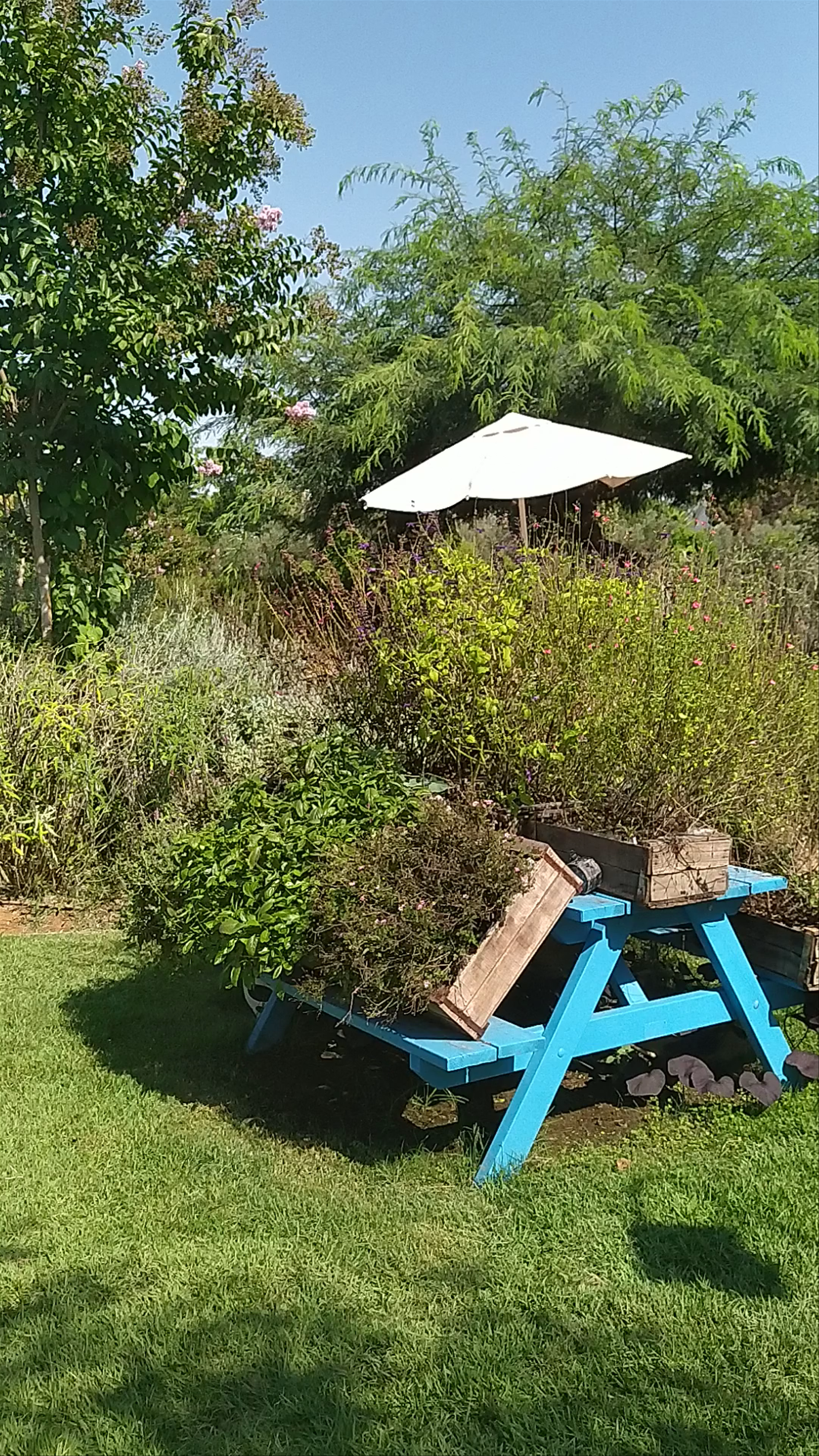 סאן קפה Sun Cafe