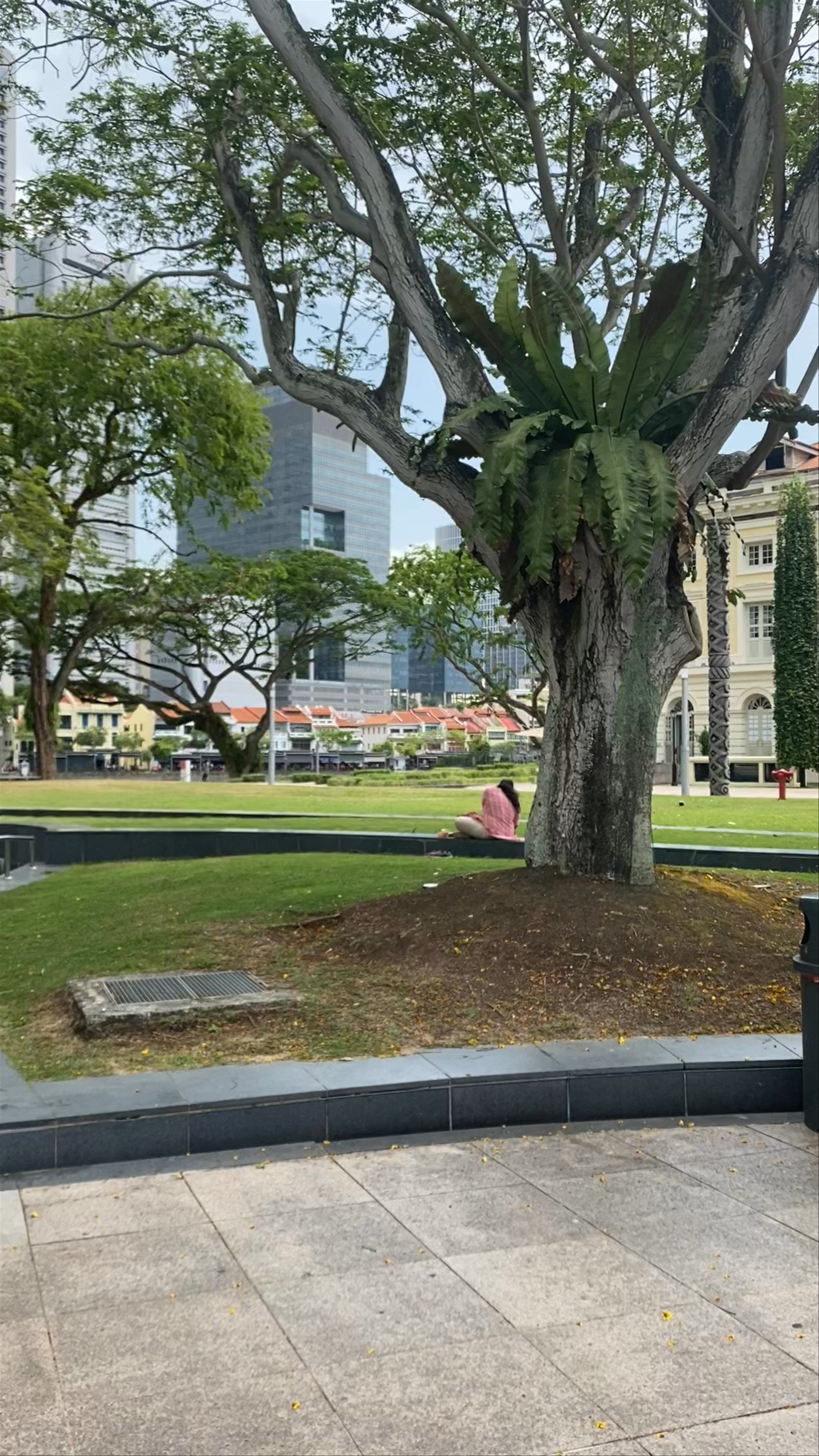 Asian Civilisations Museum Green