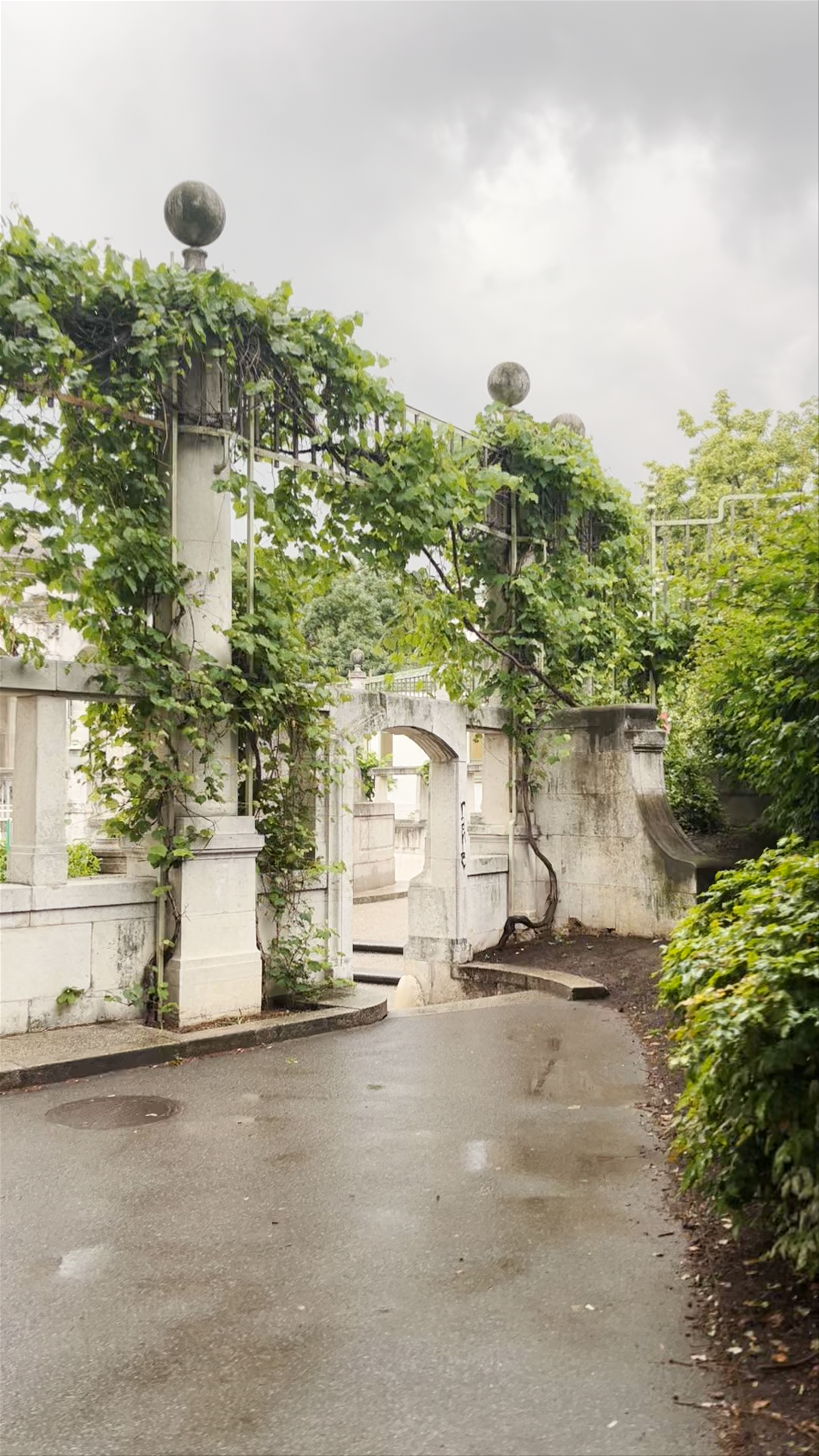 Stadtpark Vienna: A Serene Urban Oasis Under Moody Skies