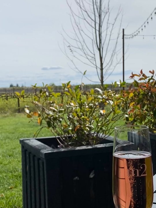m2 Wines - Wine Tasting Room Near Me - Acampo, California