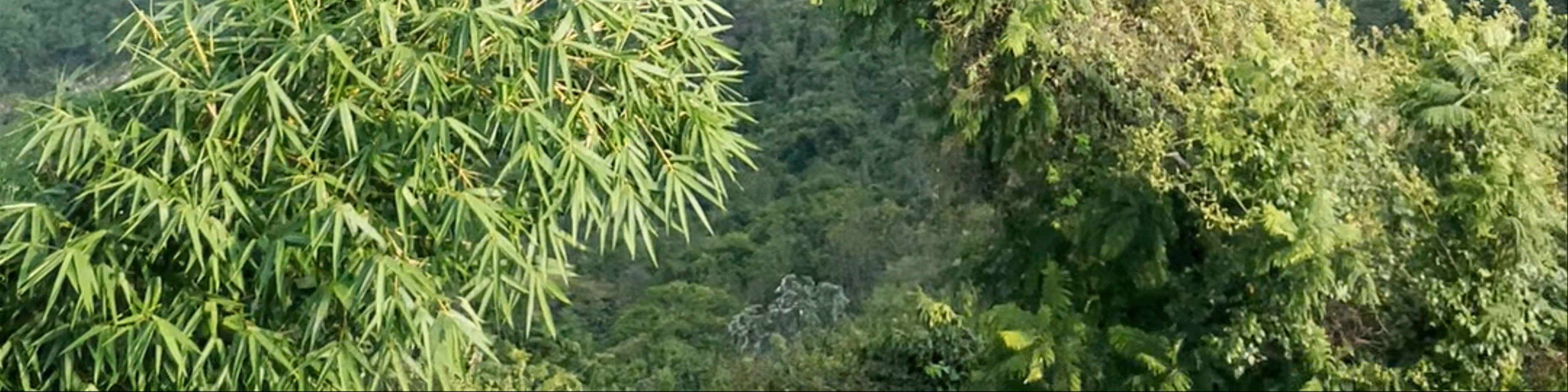 Cundinamarca