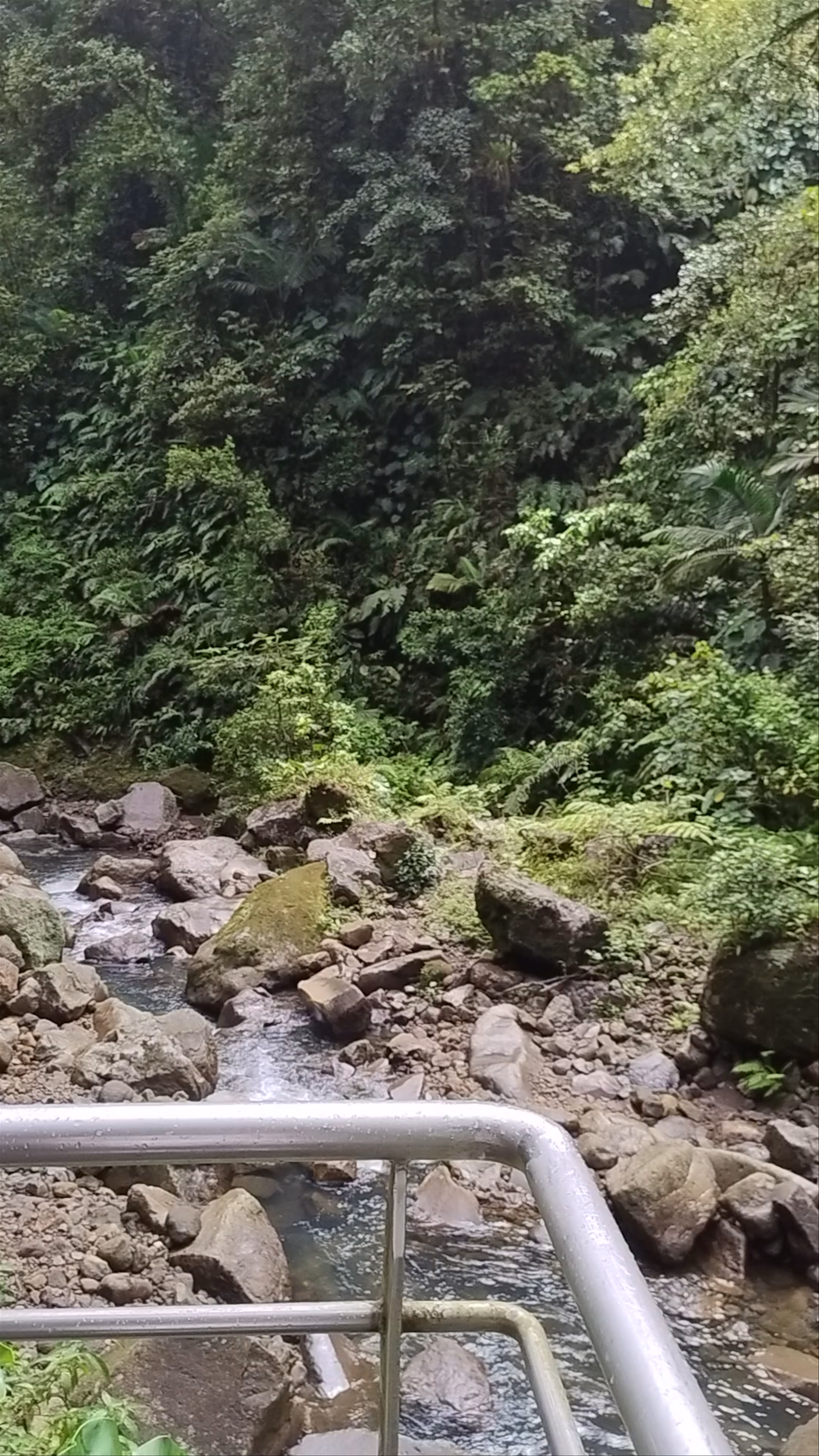 Troisième chute du Carbet