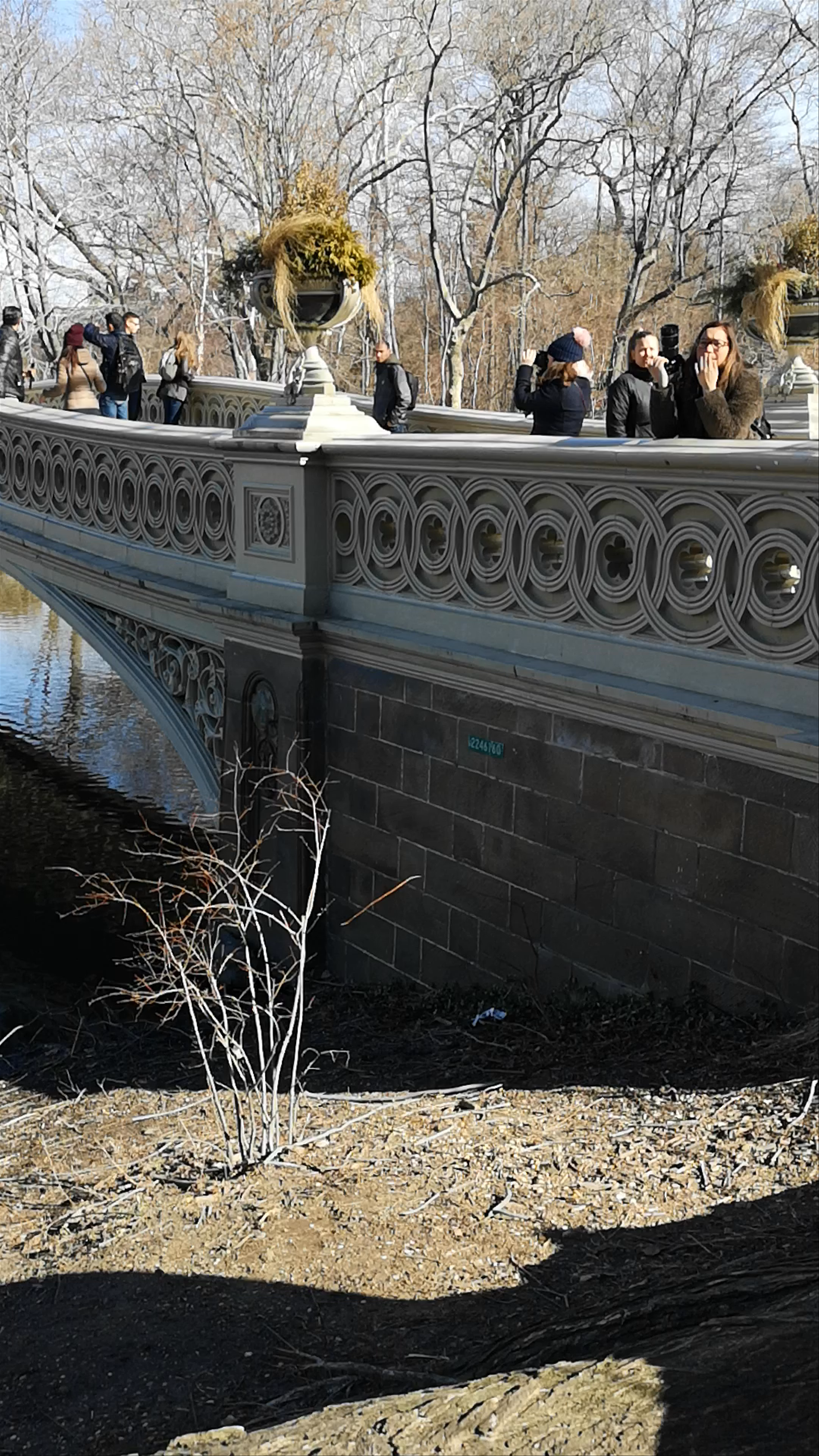 Central Park