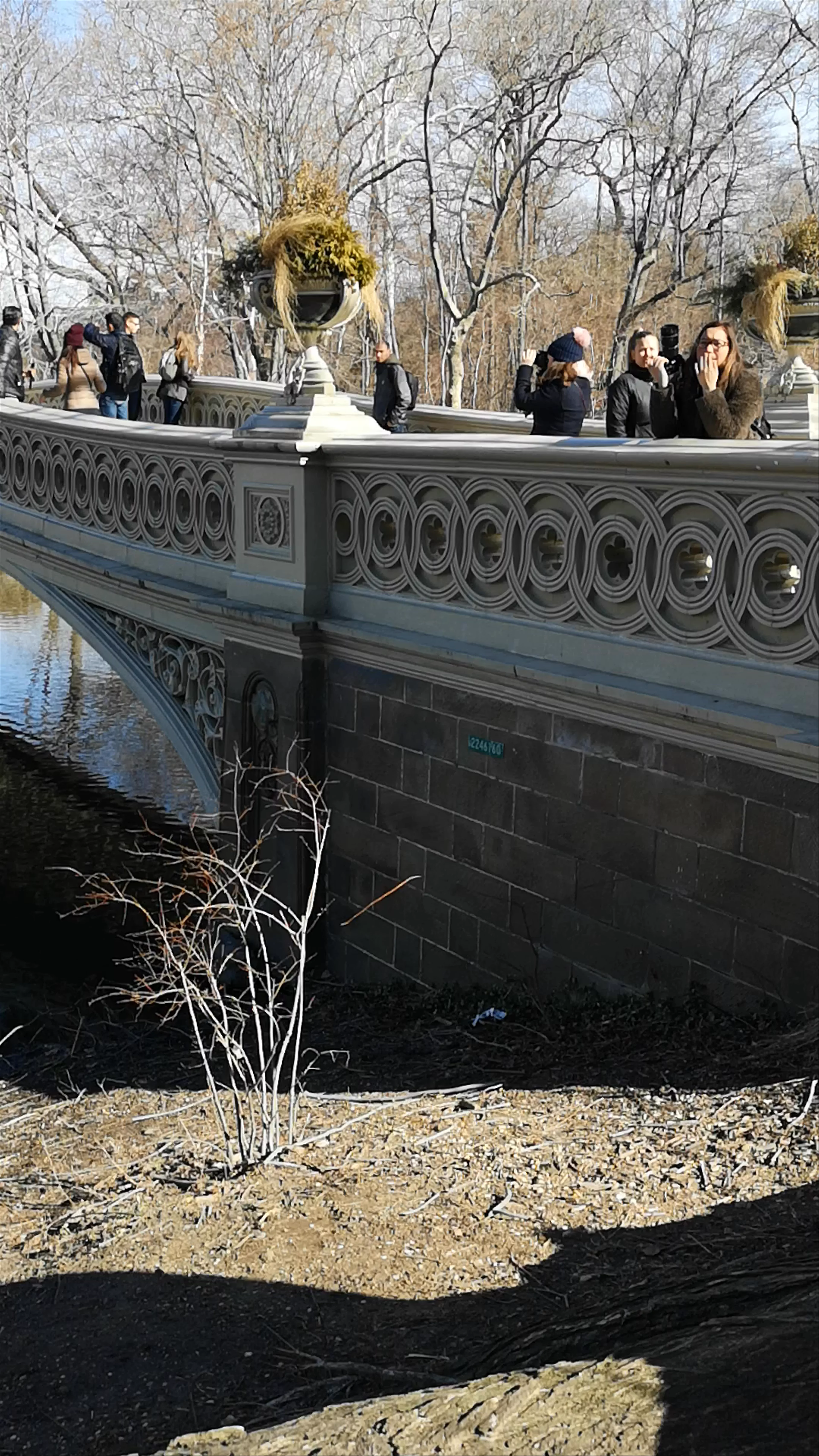 Central Park