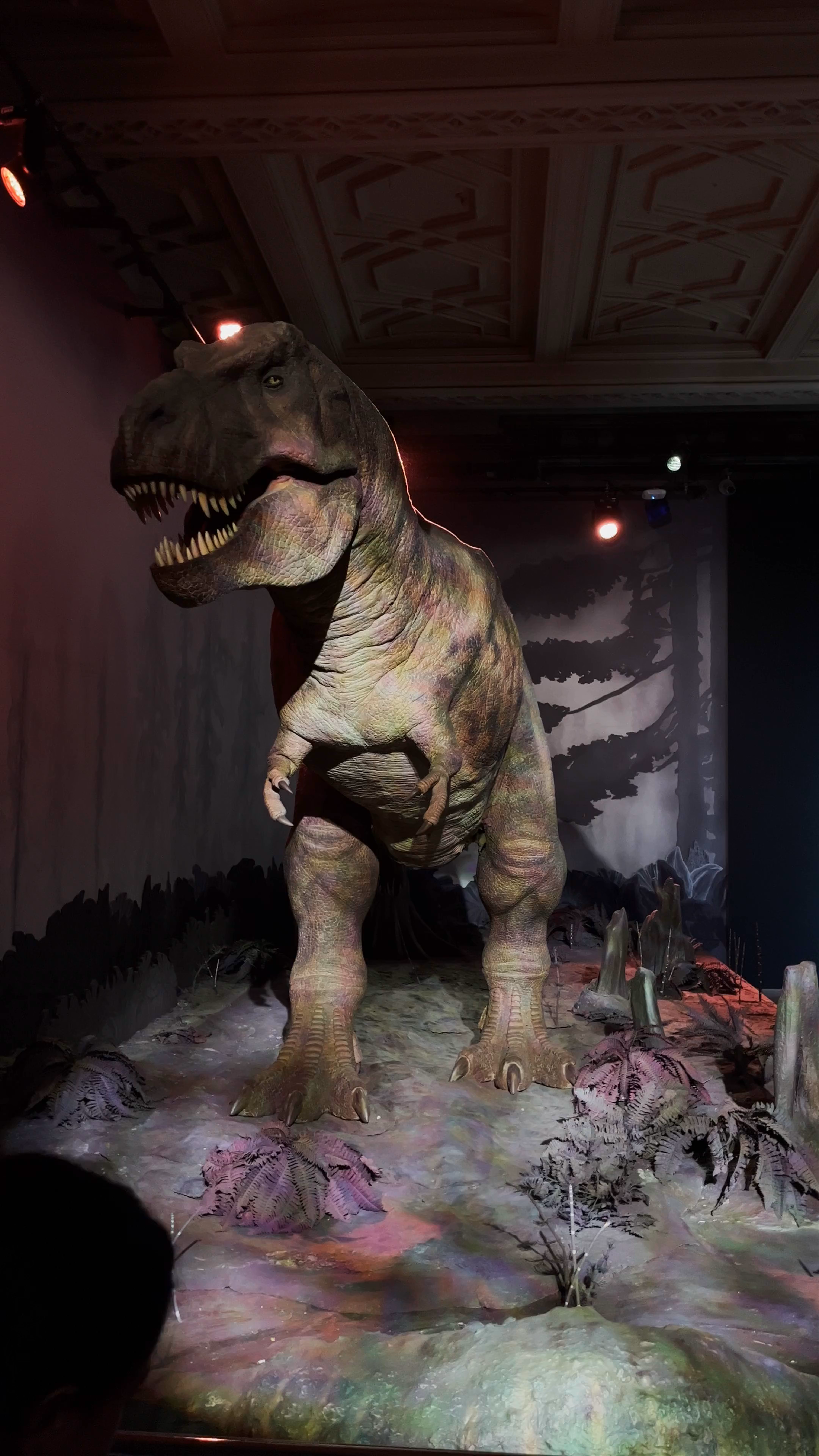 Life-size T-Rex Exhibit at the Natural History Museum, London