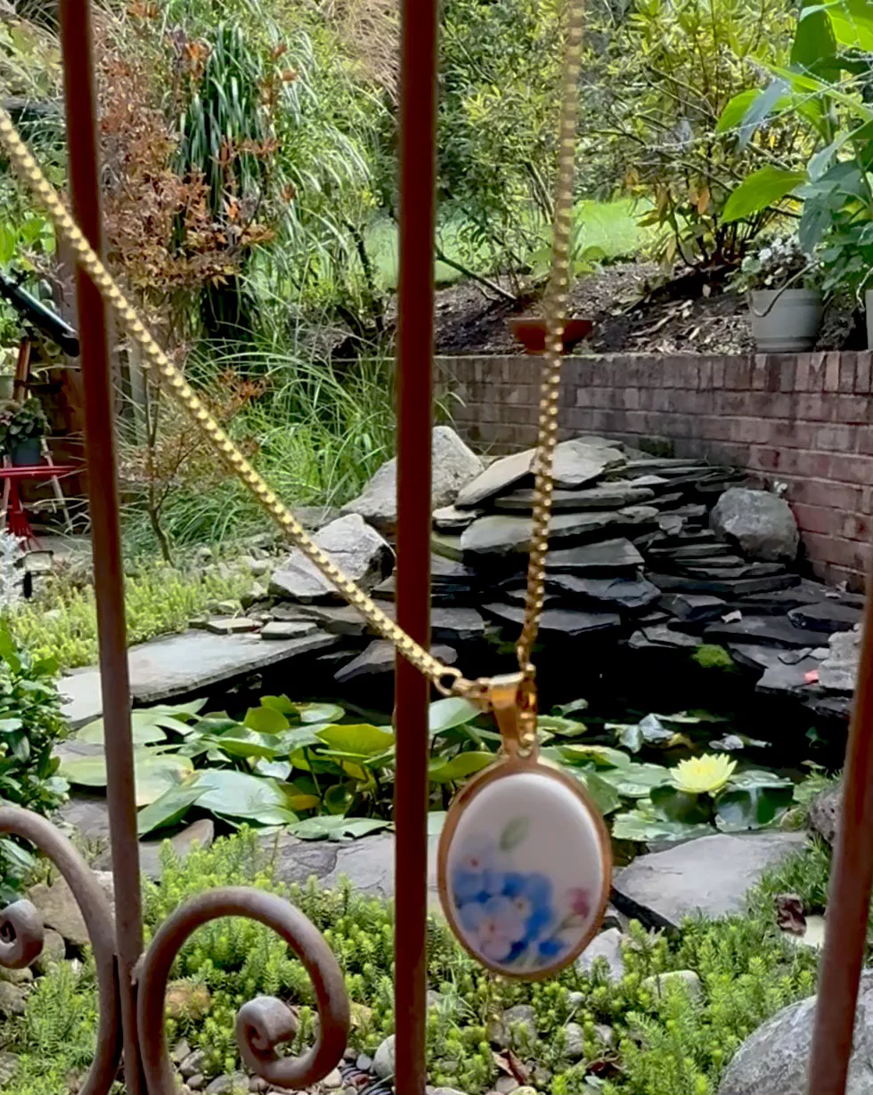 Preview image for video