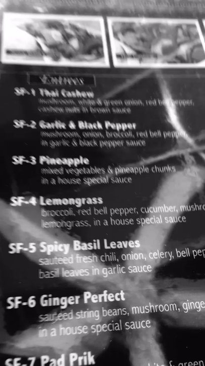 Ginger Thai Taste - Menu book was huge so it was difficult to take a normal picture - Thai Near Me - Richmond, Virginia