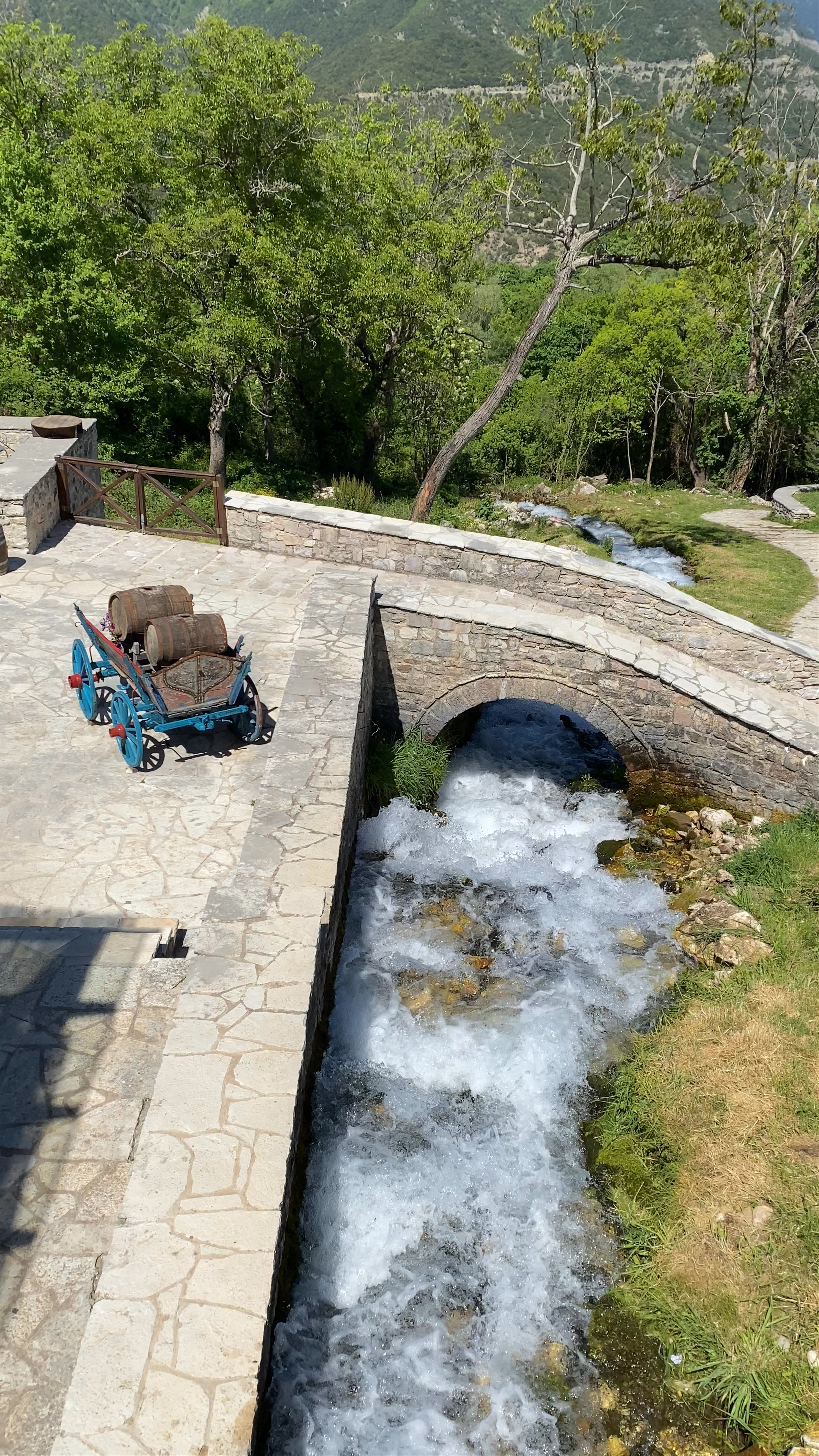 Το Μαντάνι – Authentic Riverside Café and Hydropower Museum, Anthochori, Greece