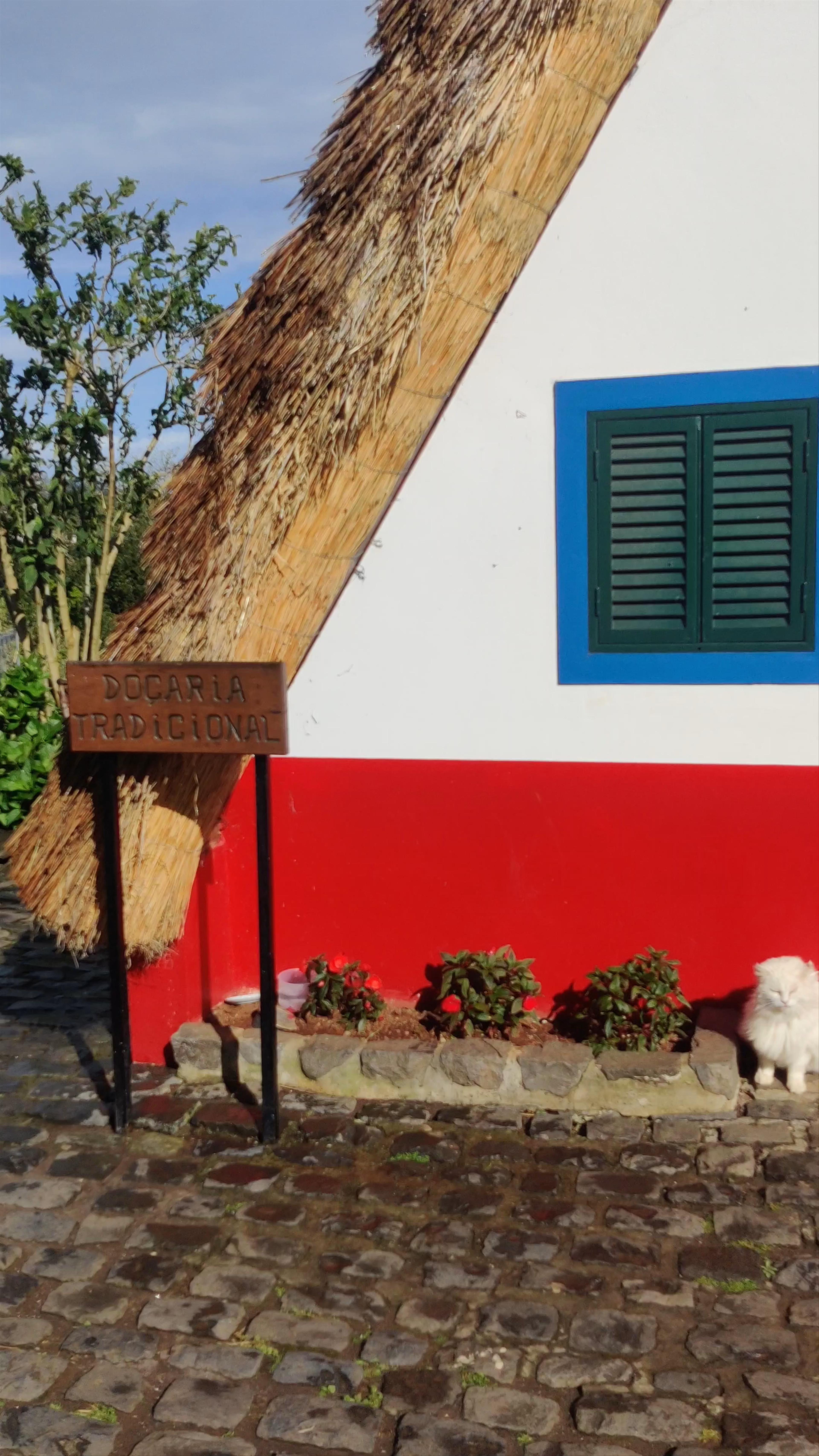 Casas Típicas de Santana