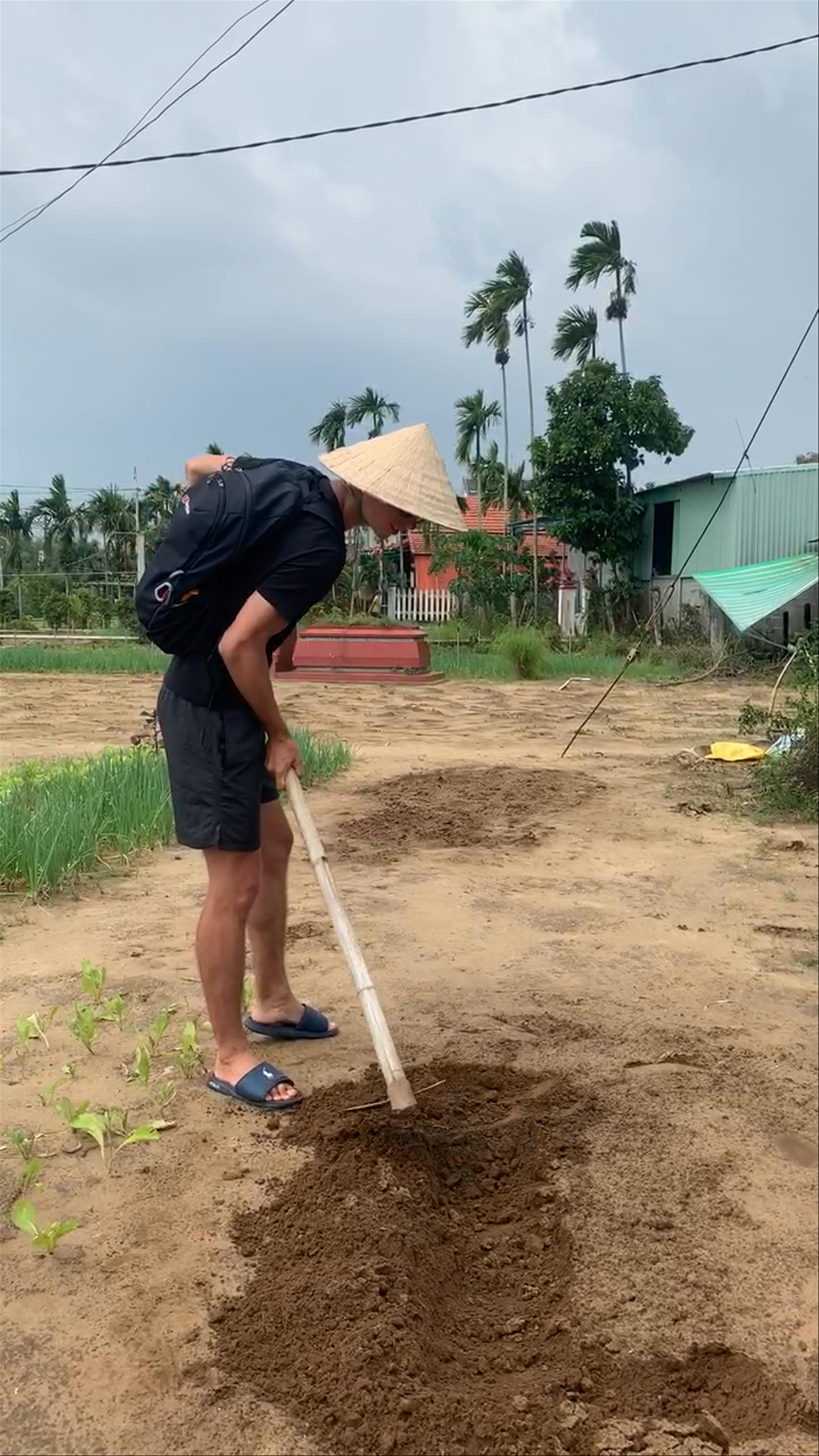 Trà Quế Vegetable Village