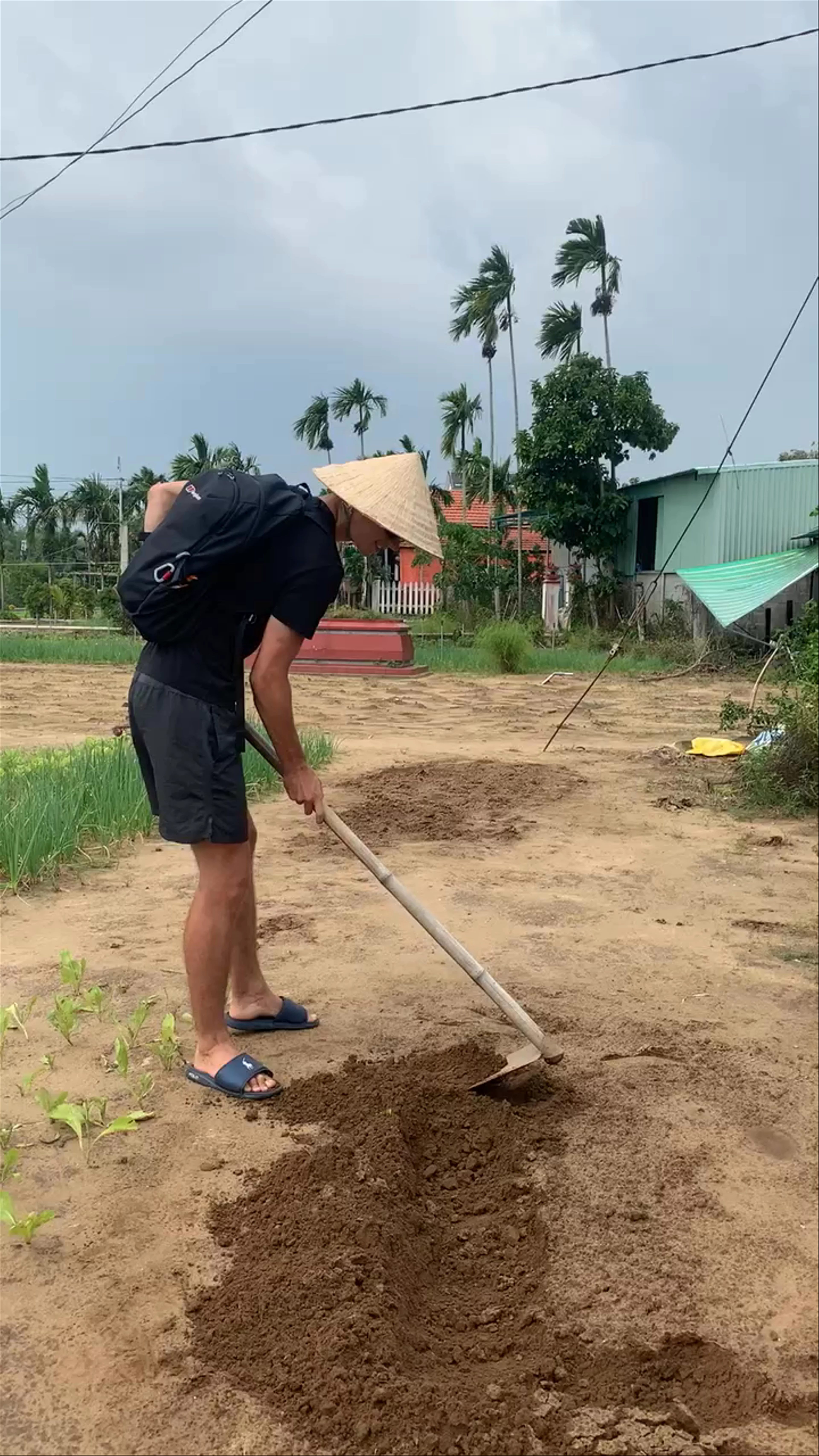 Trà Quế Vegetable Village