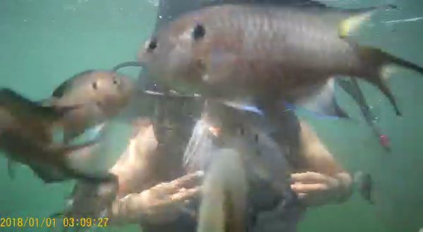 Photo of scuba diving in goa 